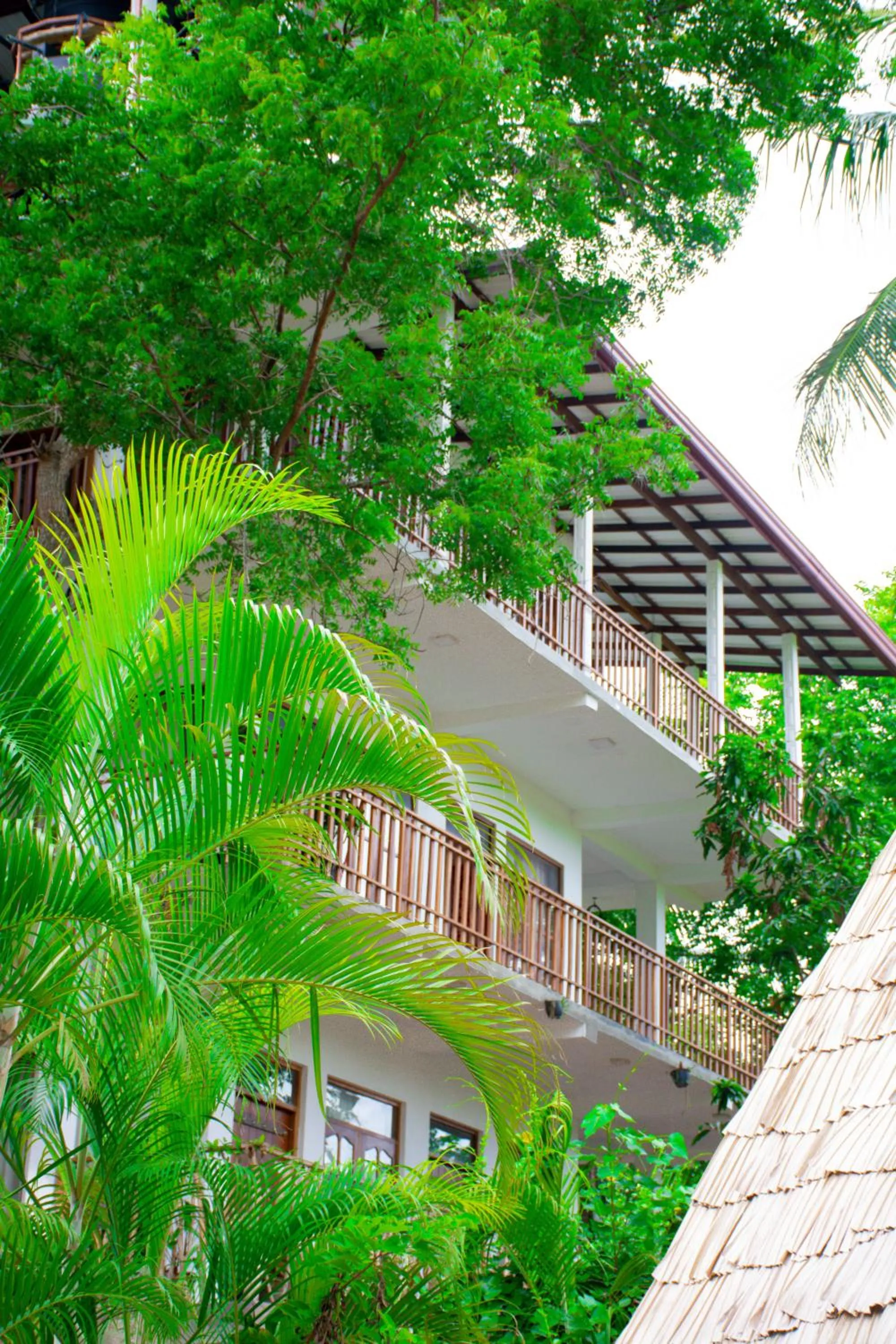 Property building in Turtle Paradise