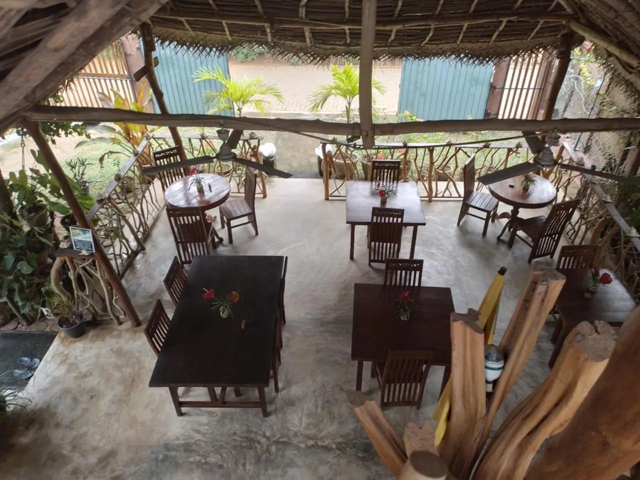 Restaurant/places to eat in Turtle Paradise