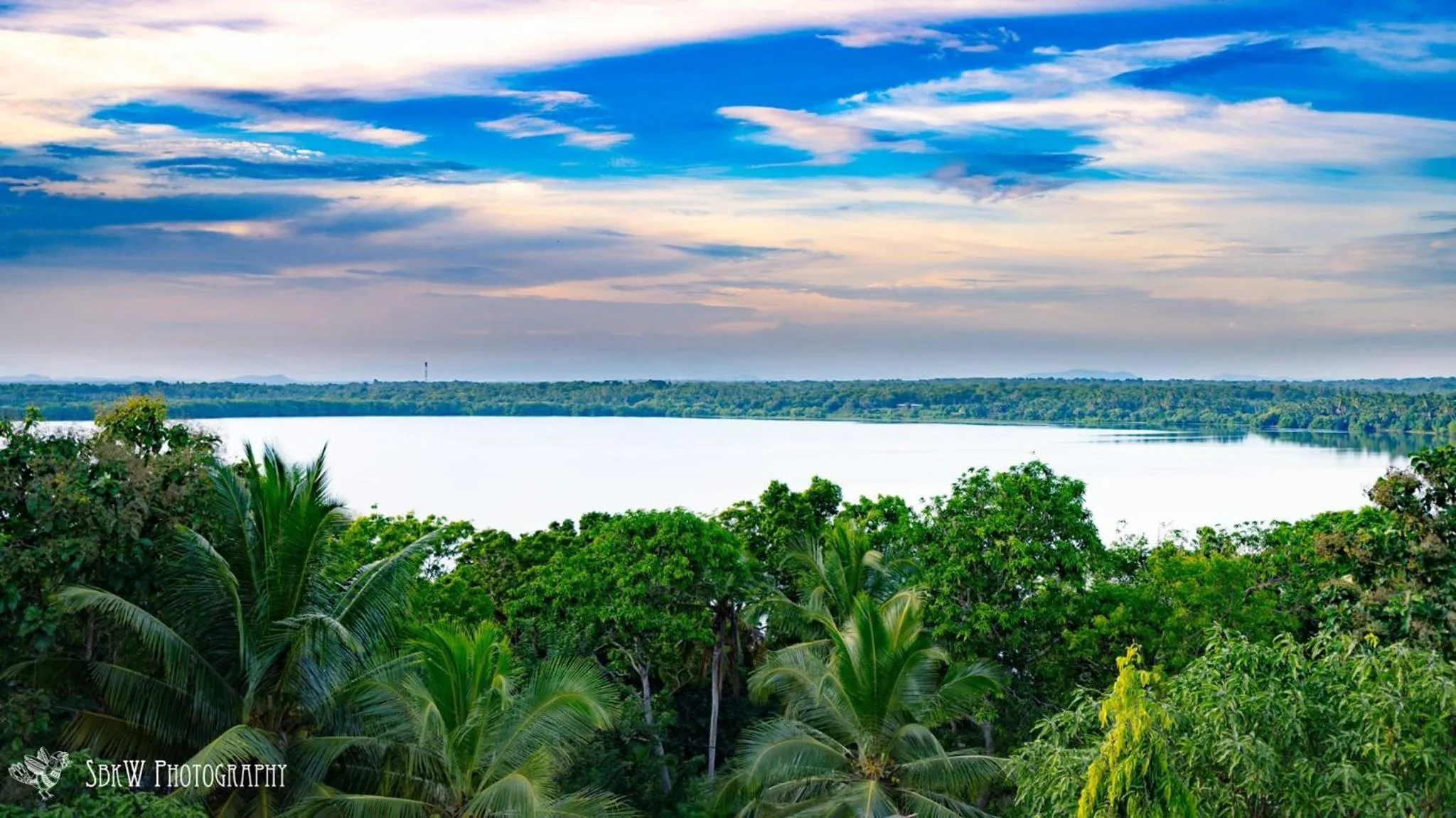 Natural landscape in Turtle Paradise