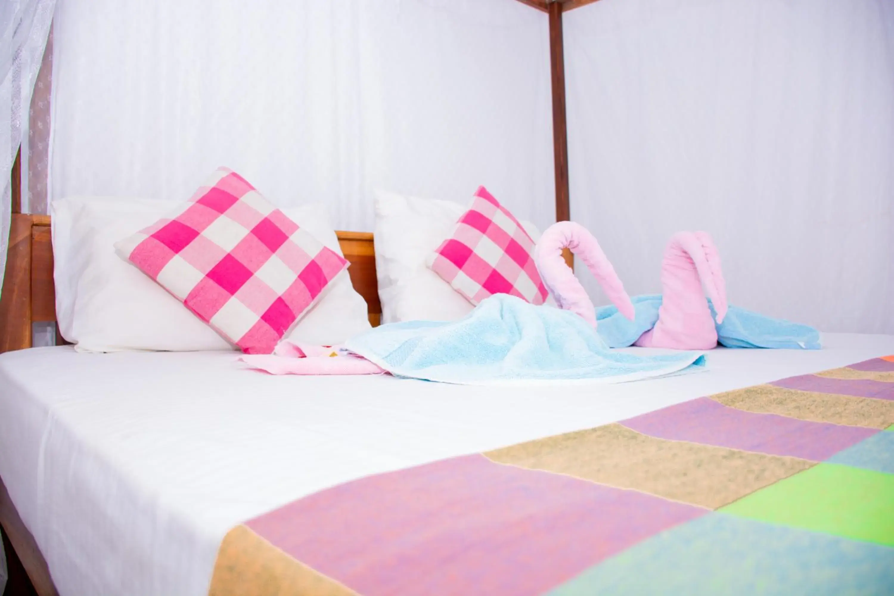 Standard Double Room in Turtle Paradise Standard Double Room in Turtle Paradise