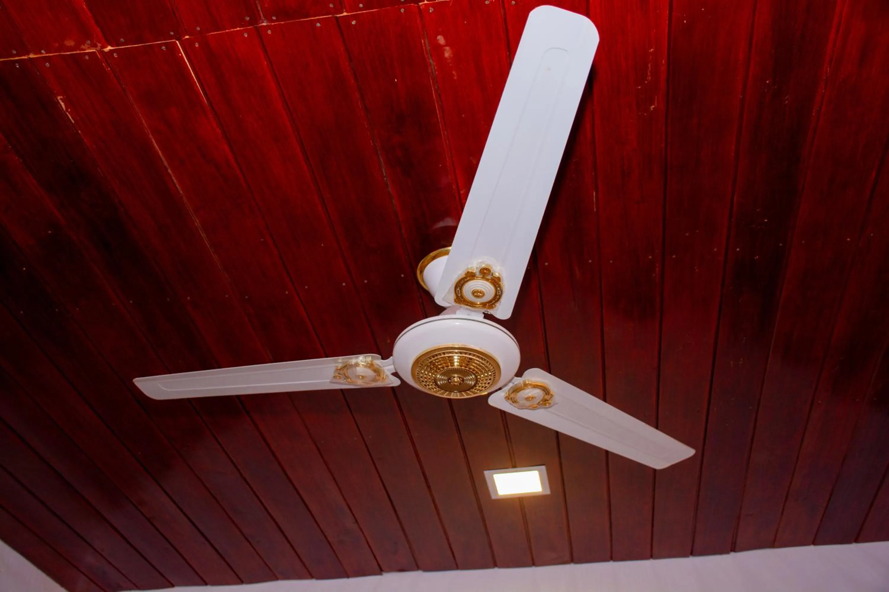 fireplace in Turtle Paradise