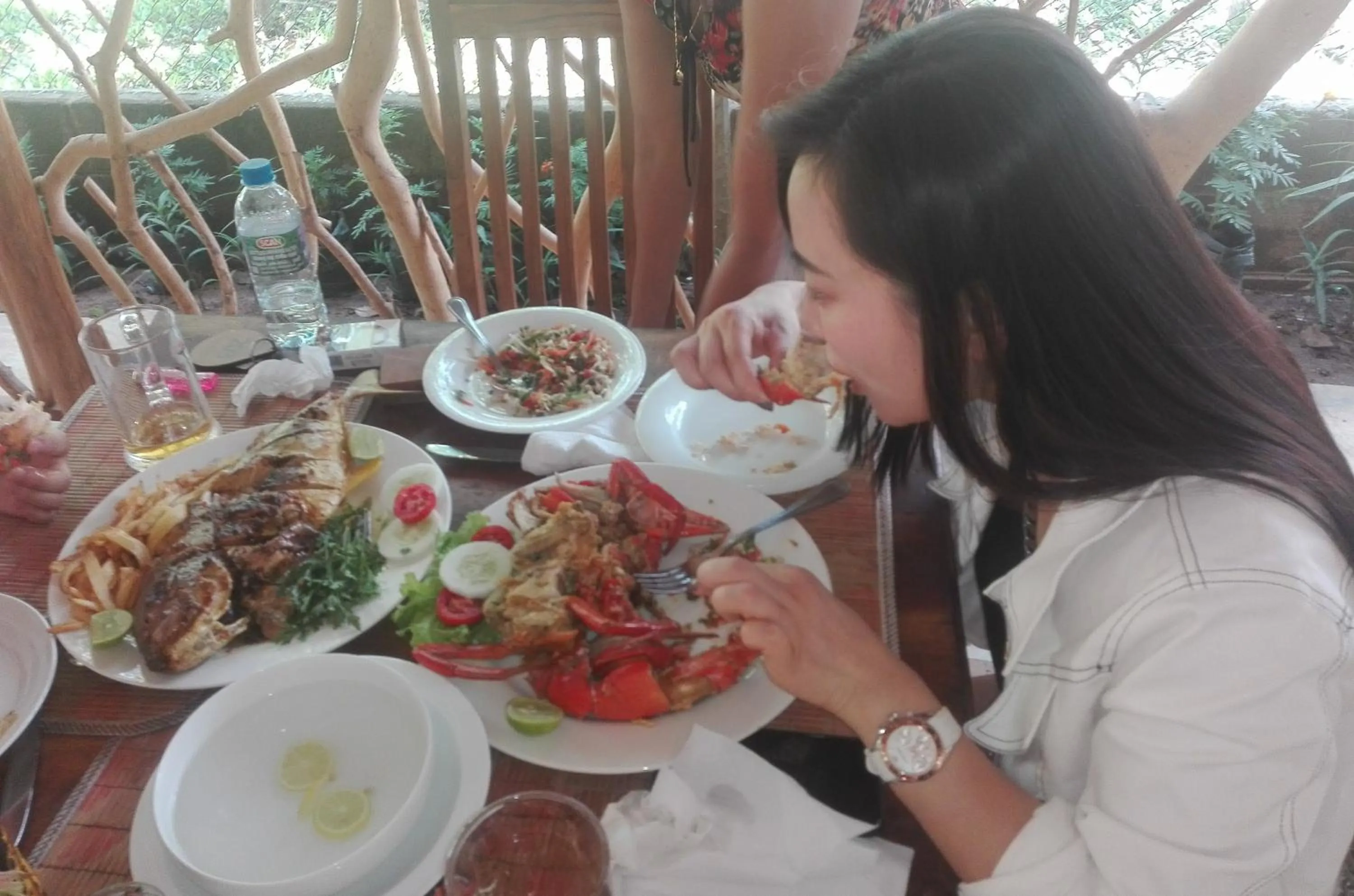 Restaurant/places to eat in Turtle Paradise