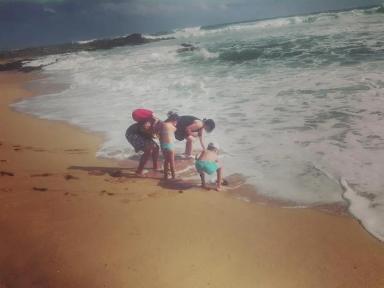 Beach in Turtle Paradise