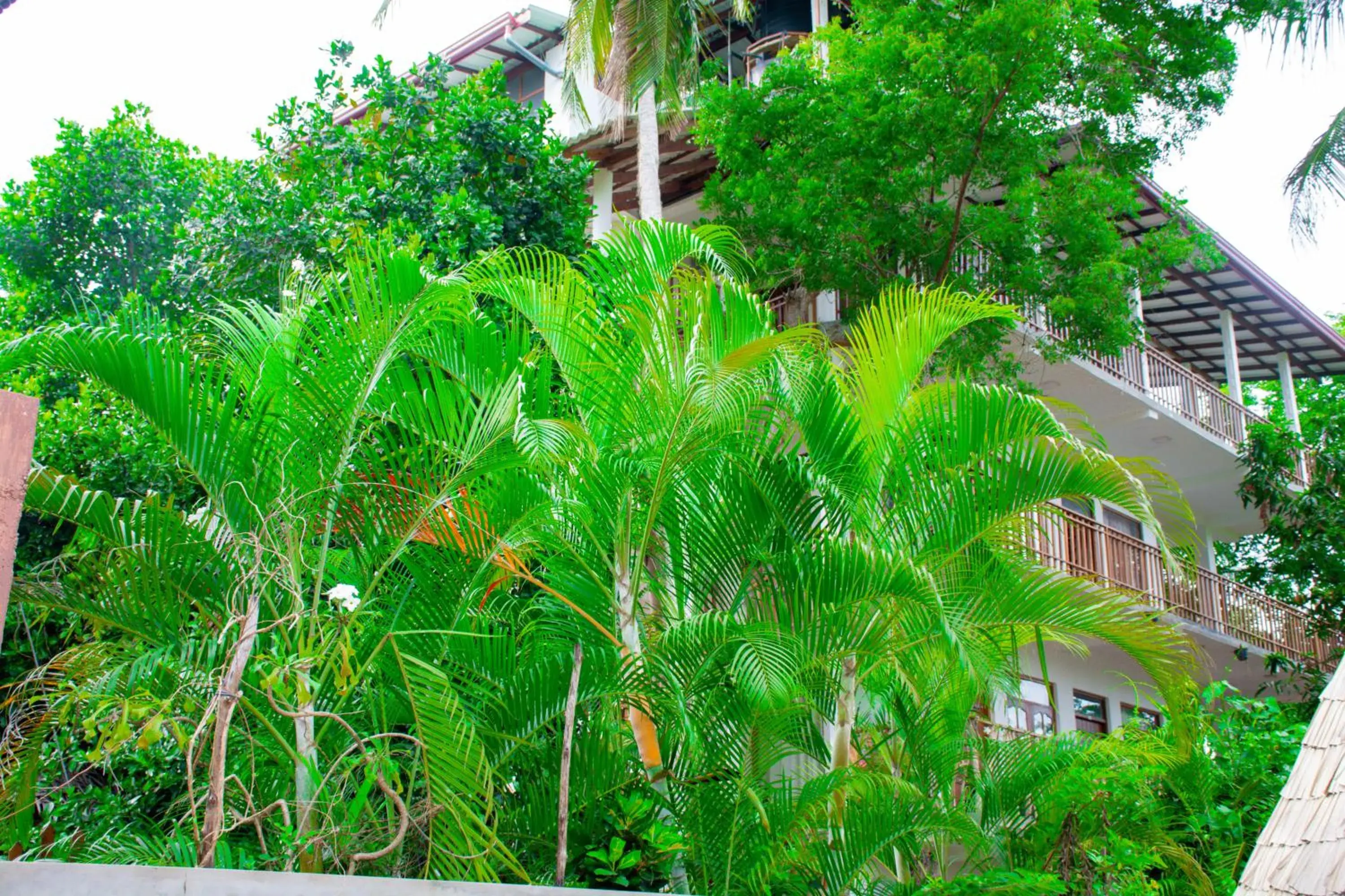Property building in Turtle Paradise Property building in Turtle Paradise