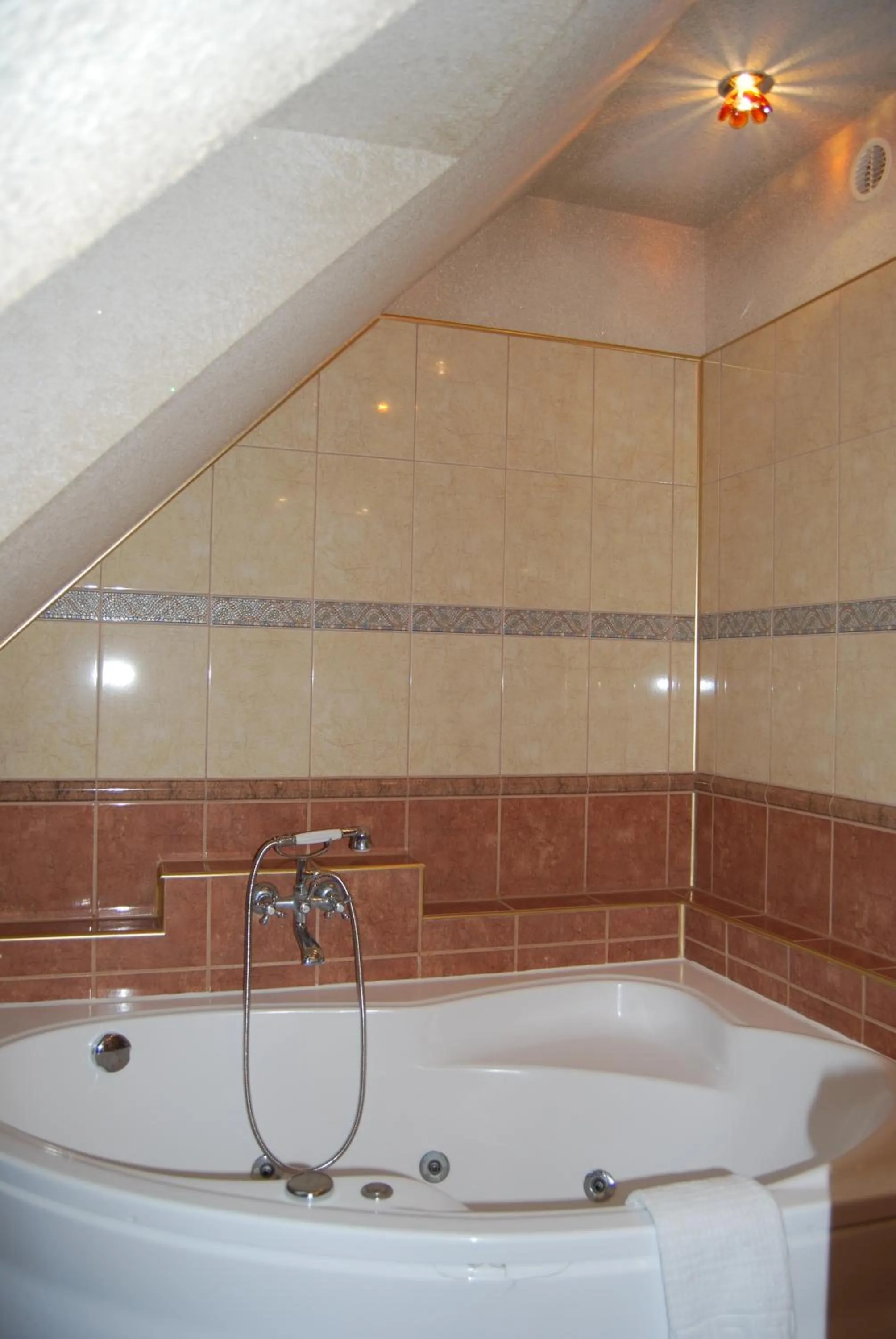 Bathroom in Villa Europa