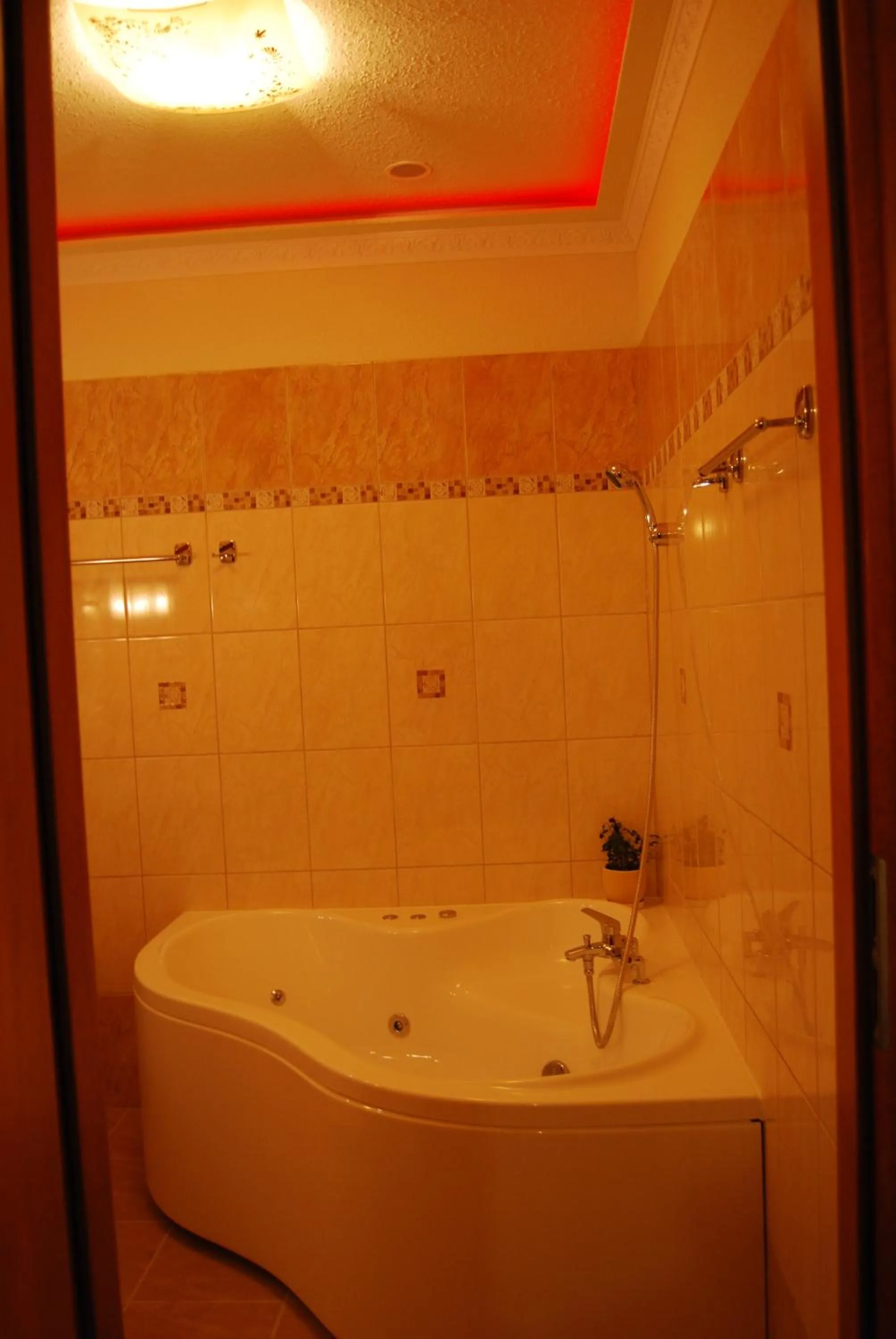 Bathroom in Villa Europa