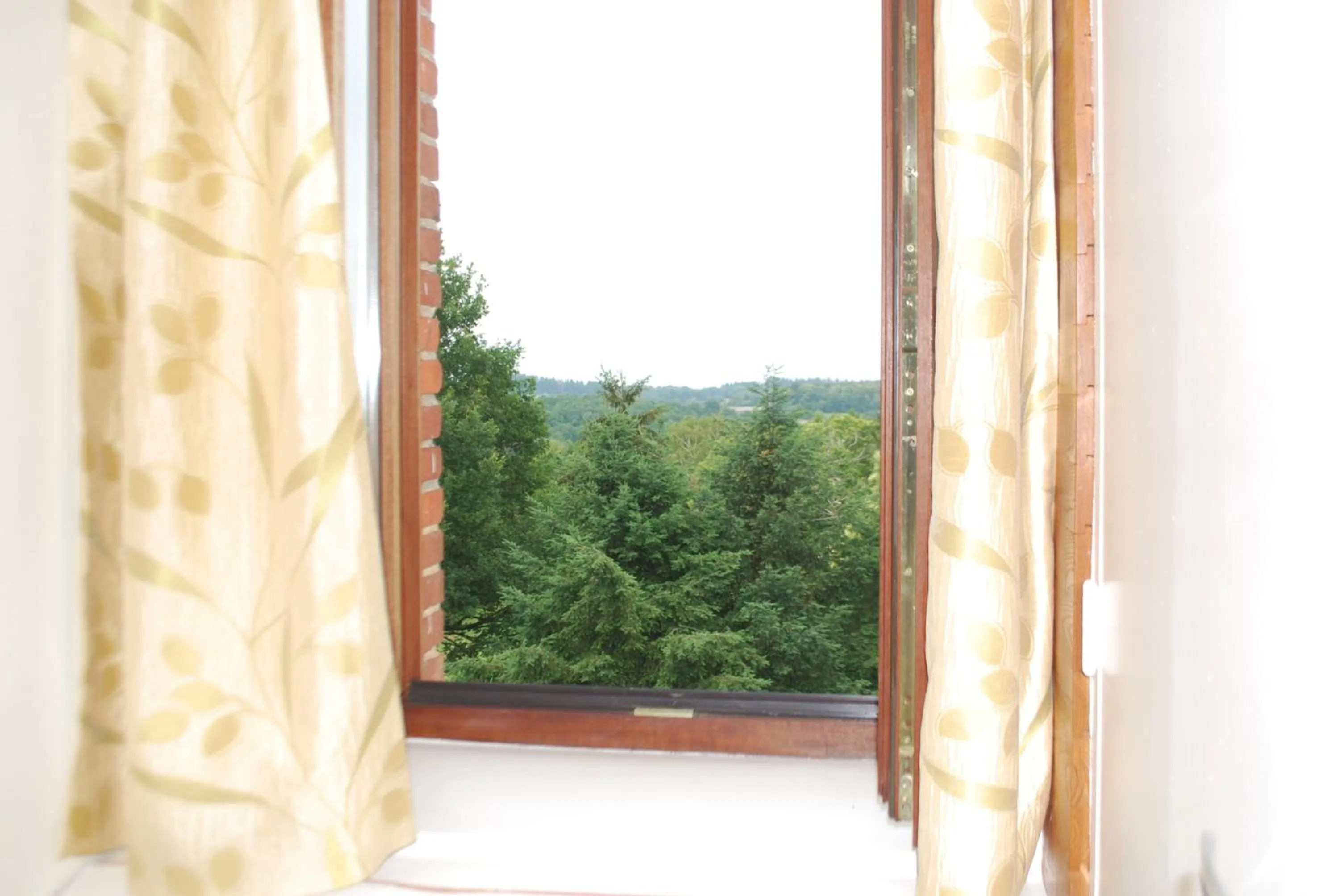 View (from property/room) in Le Ranch des Lacs