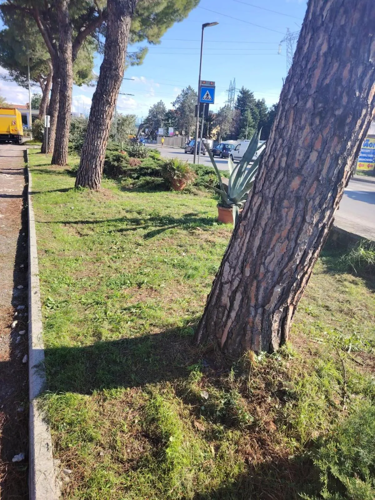 Hotel Delta Florence