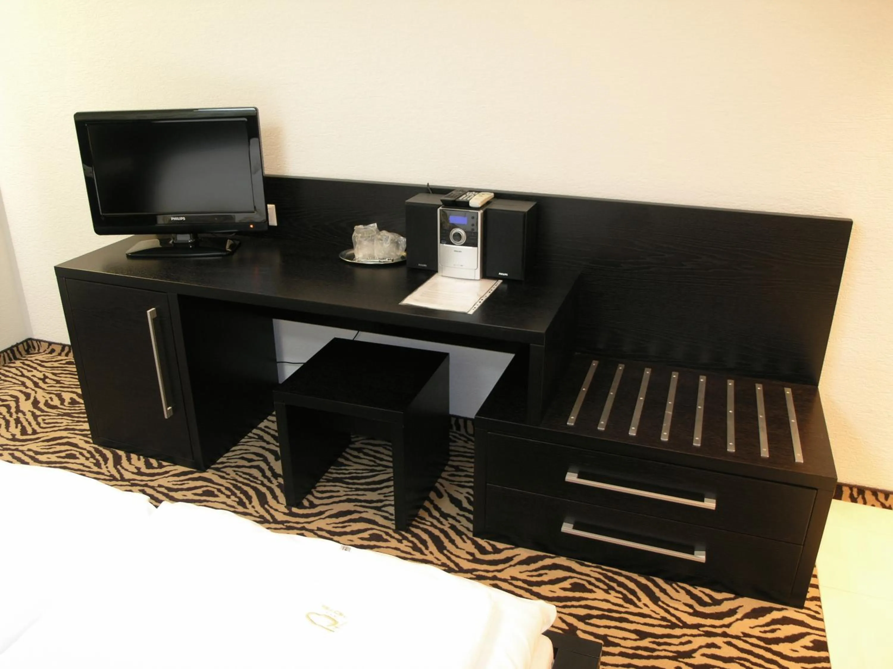 TV and multimedia in Hotel Druzba