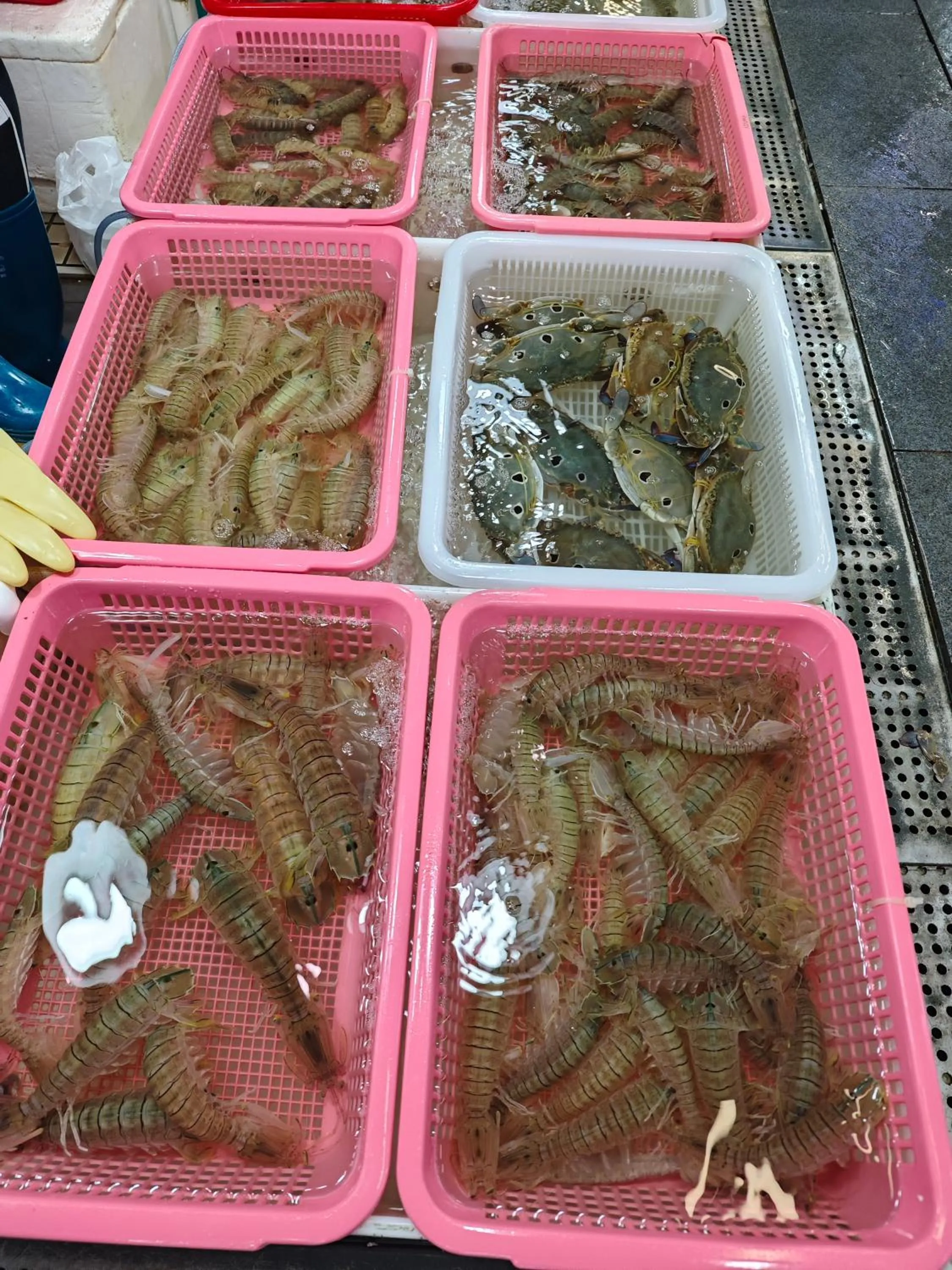 Other in The Clouds Apartment