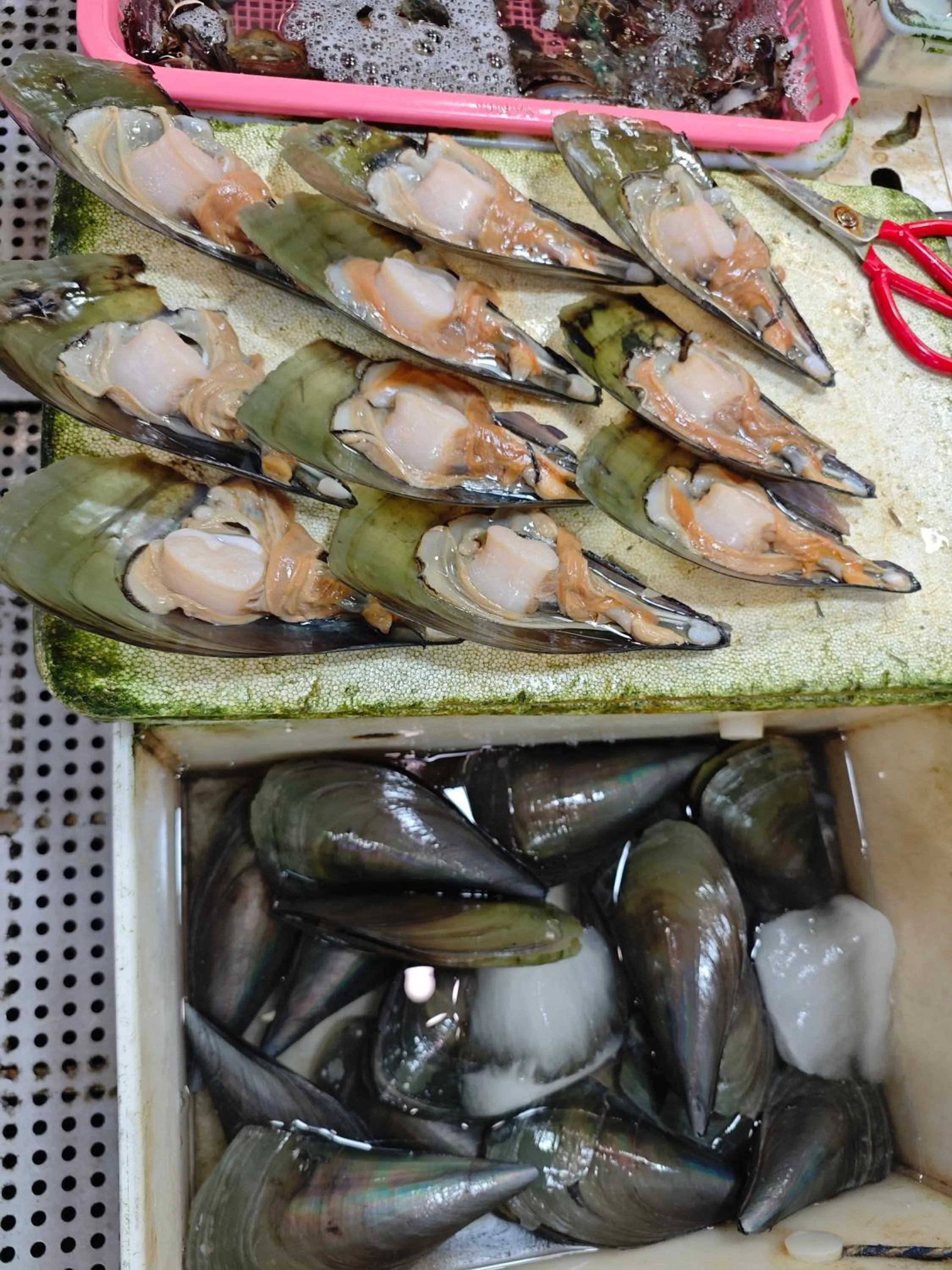 Other in The Clouds Apartment