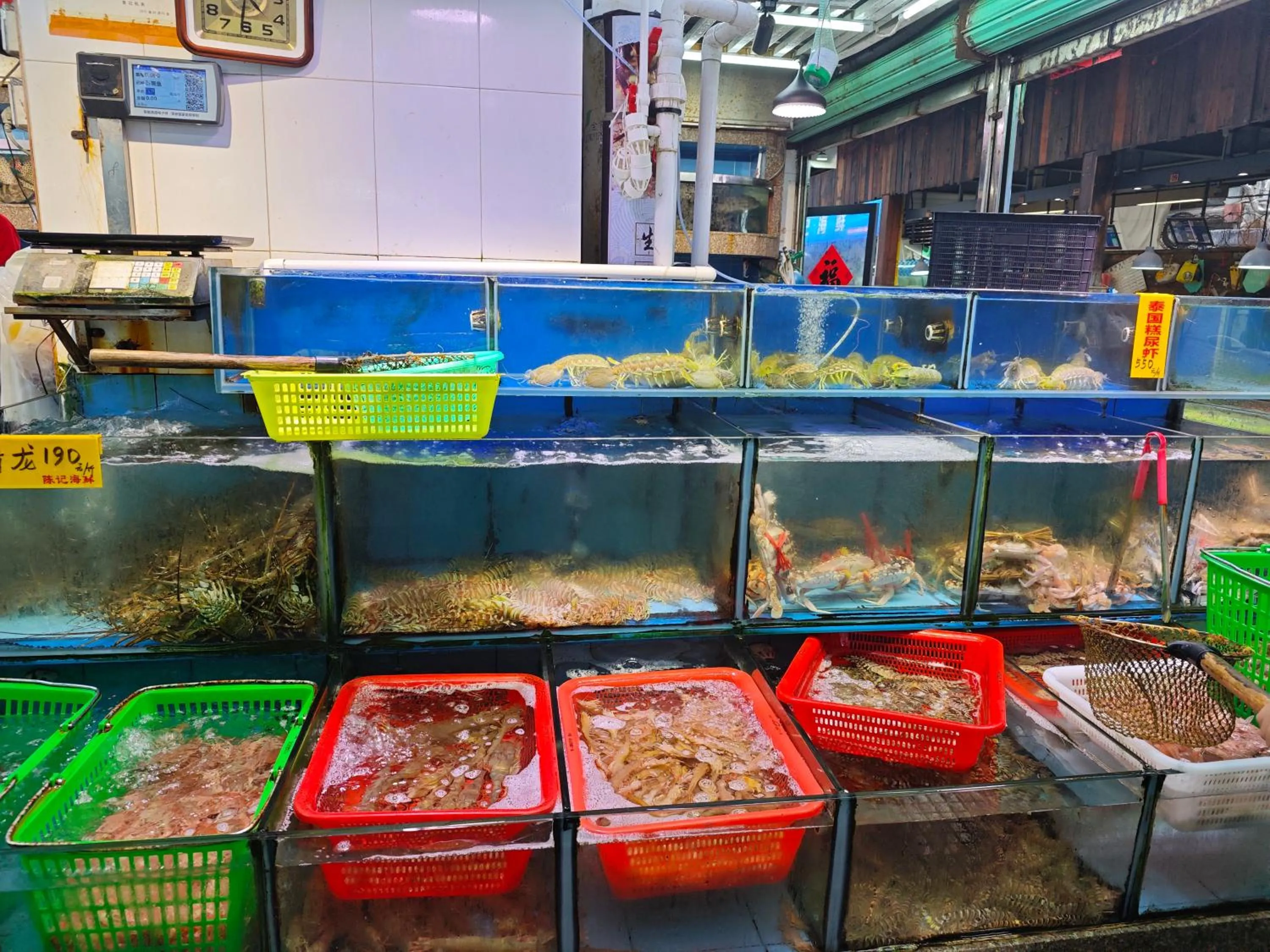 Other in The Clouds Apartment