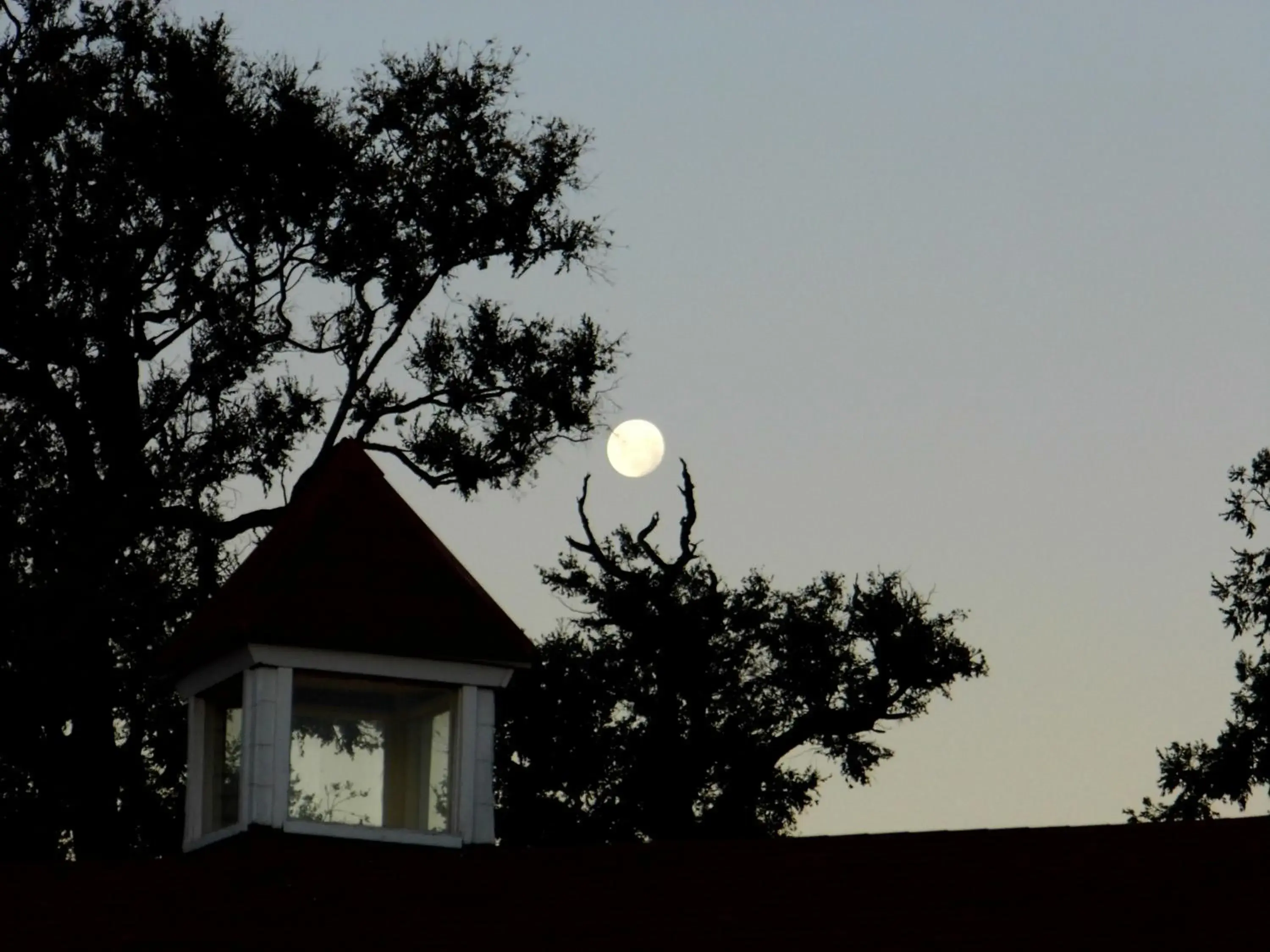 Facade/entrance in Hotel Truyaca Facade/entrance in Hotel Truyaca