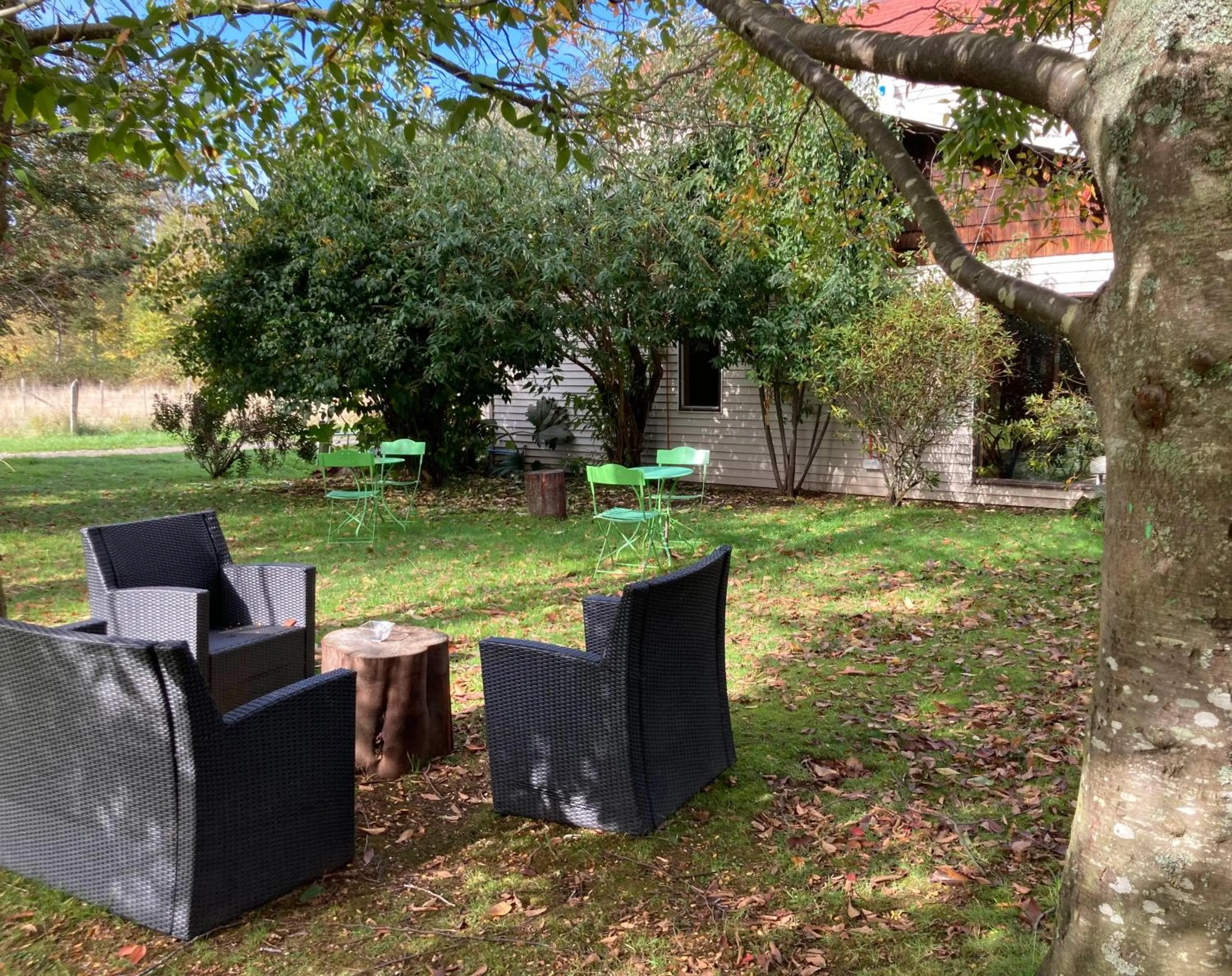 Garden in Hotel Truyaca