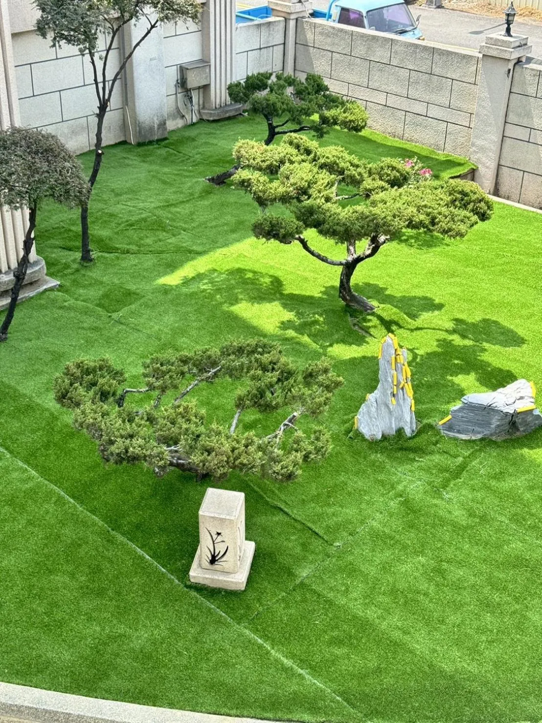 Animals in I Live Motel