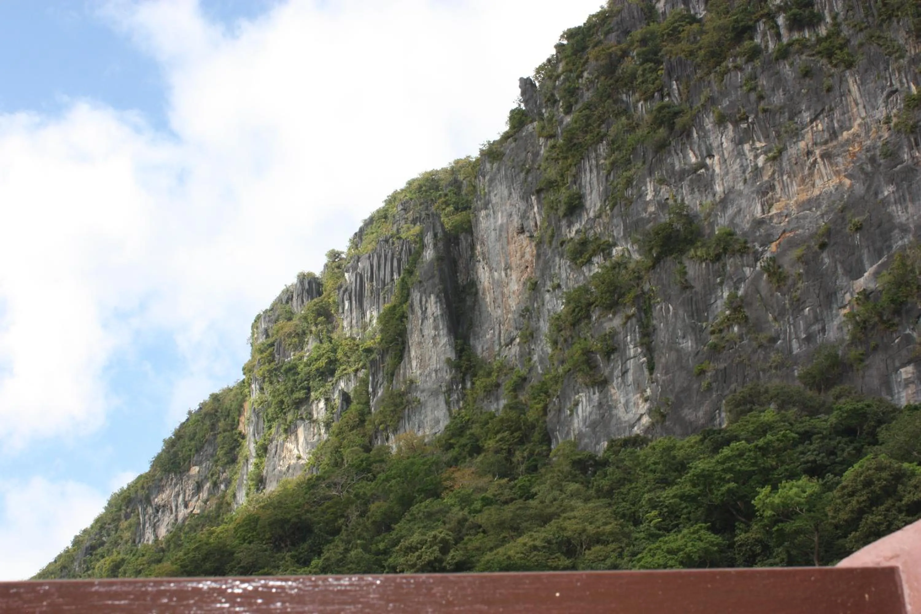 Mountain view in Lolo Bob's Bed And Breakfast