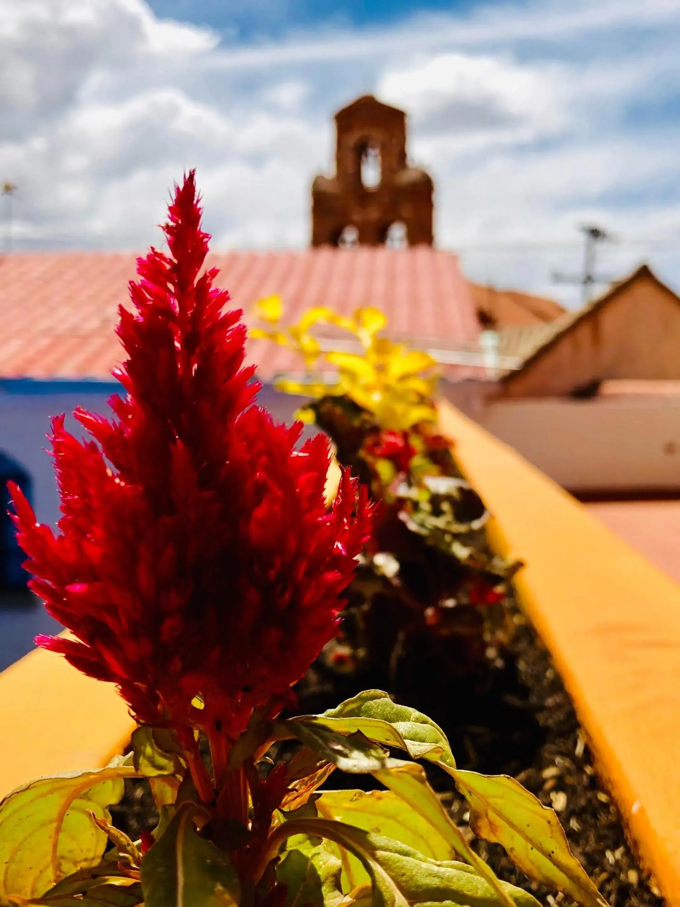Garden view in Hotel Santa Teresa Garden view in Hotel Santa Teresa