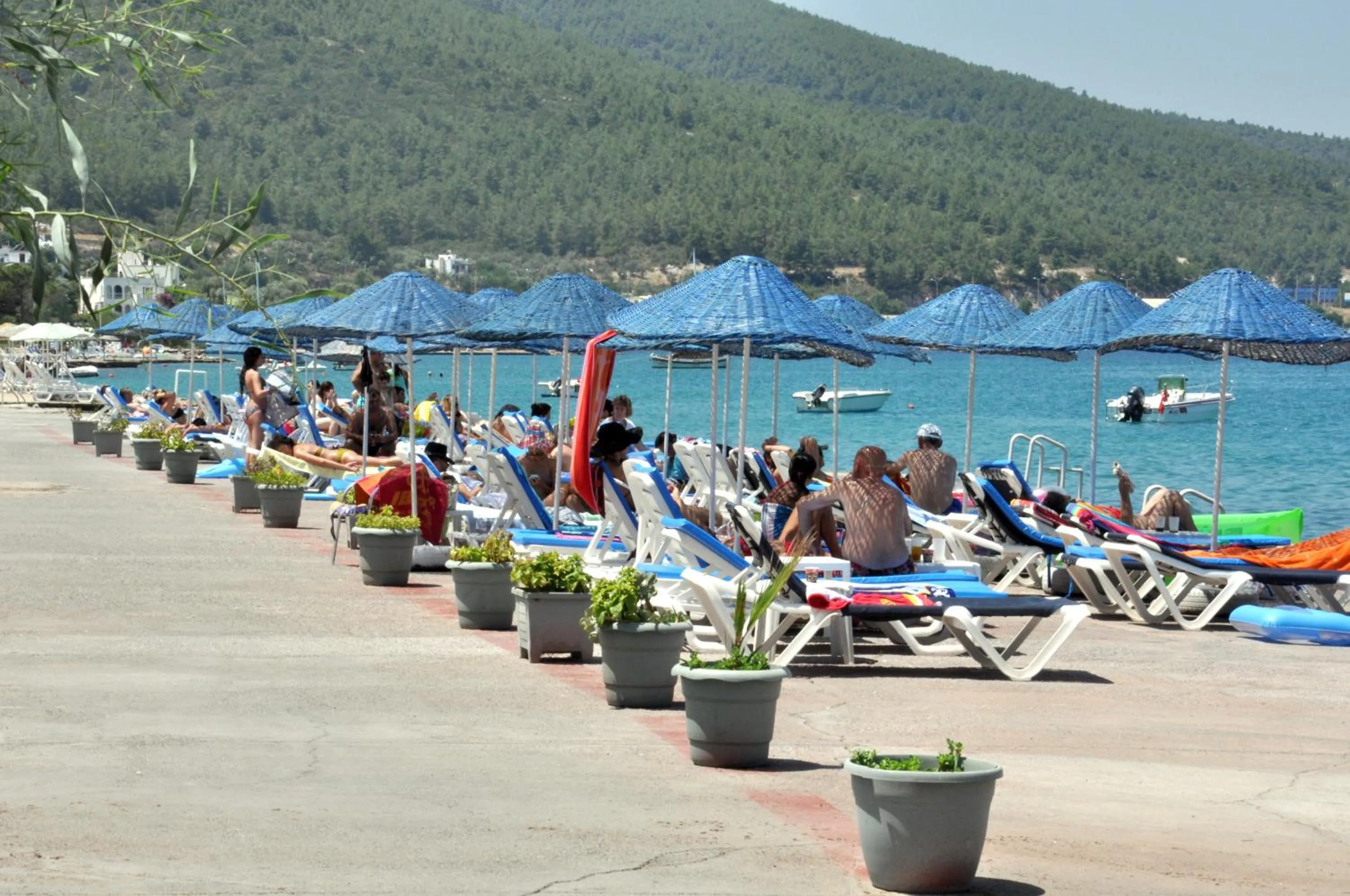 Activities in Greenport Bodrum Hotel
