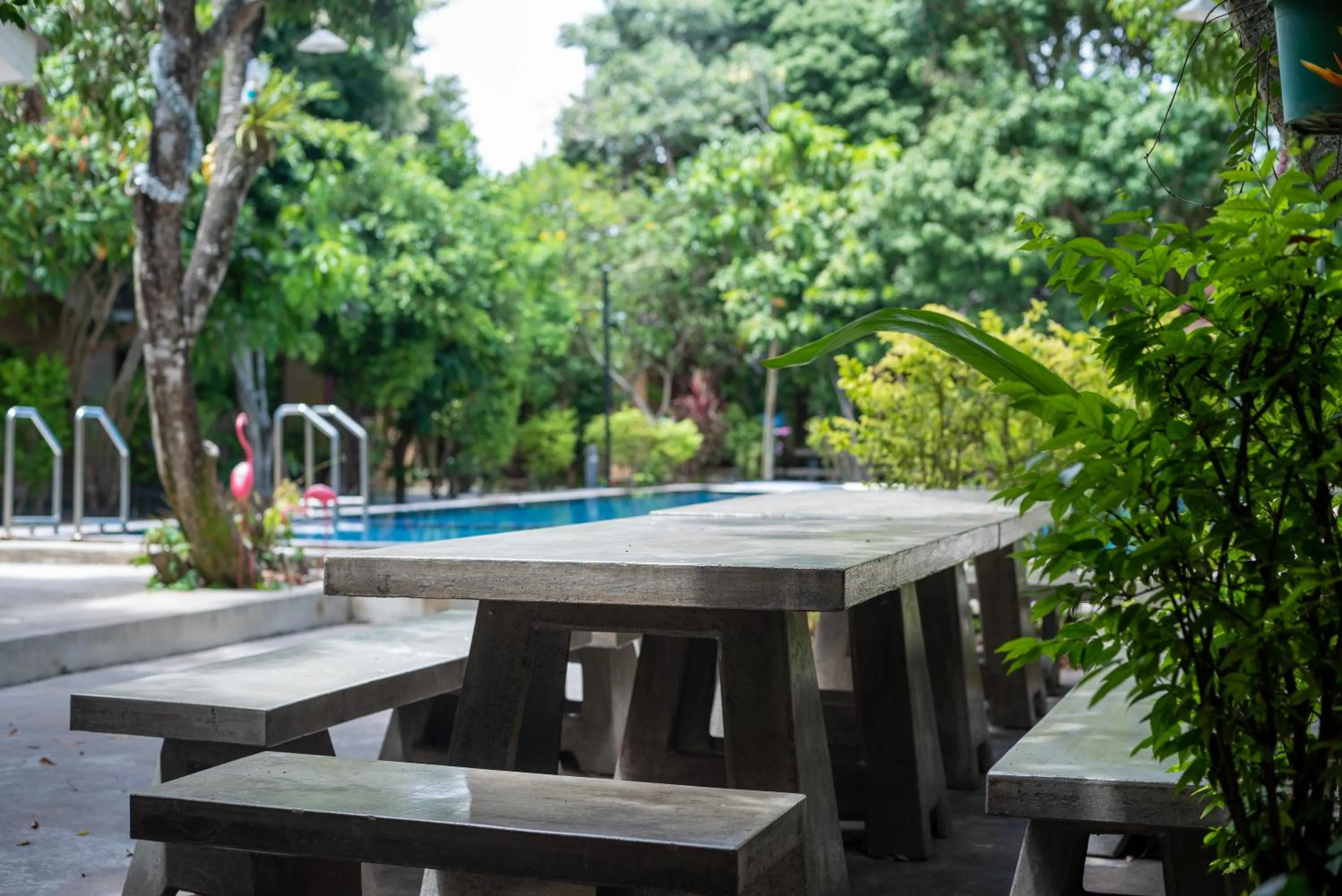 Garden in Muntra Garden Resort