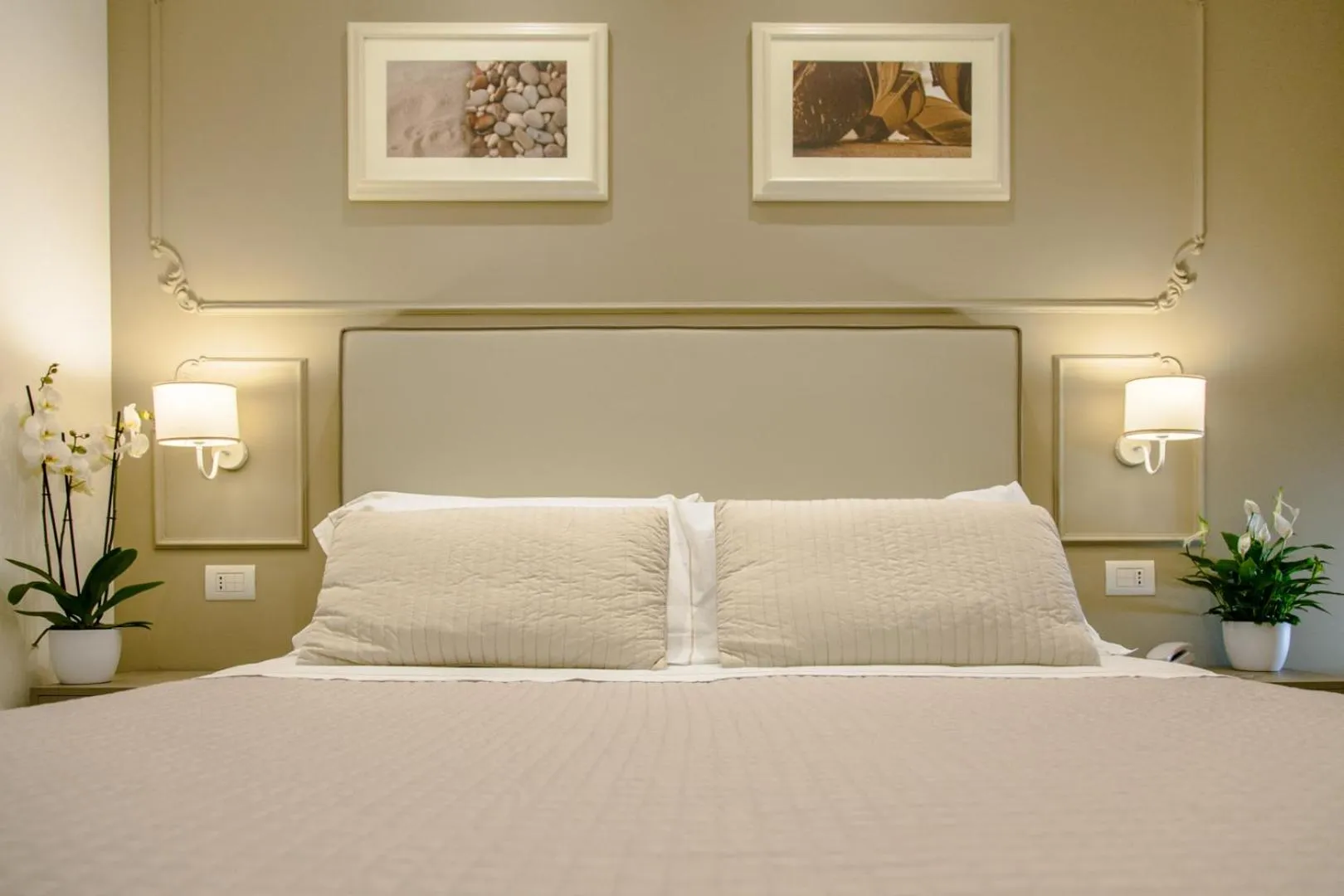 Bed in Hotel Ambassador