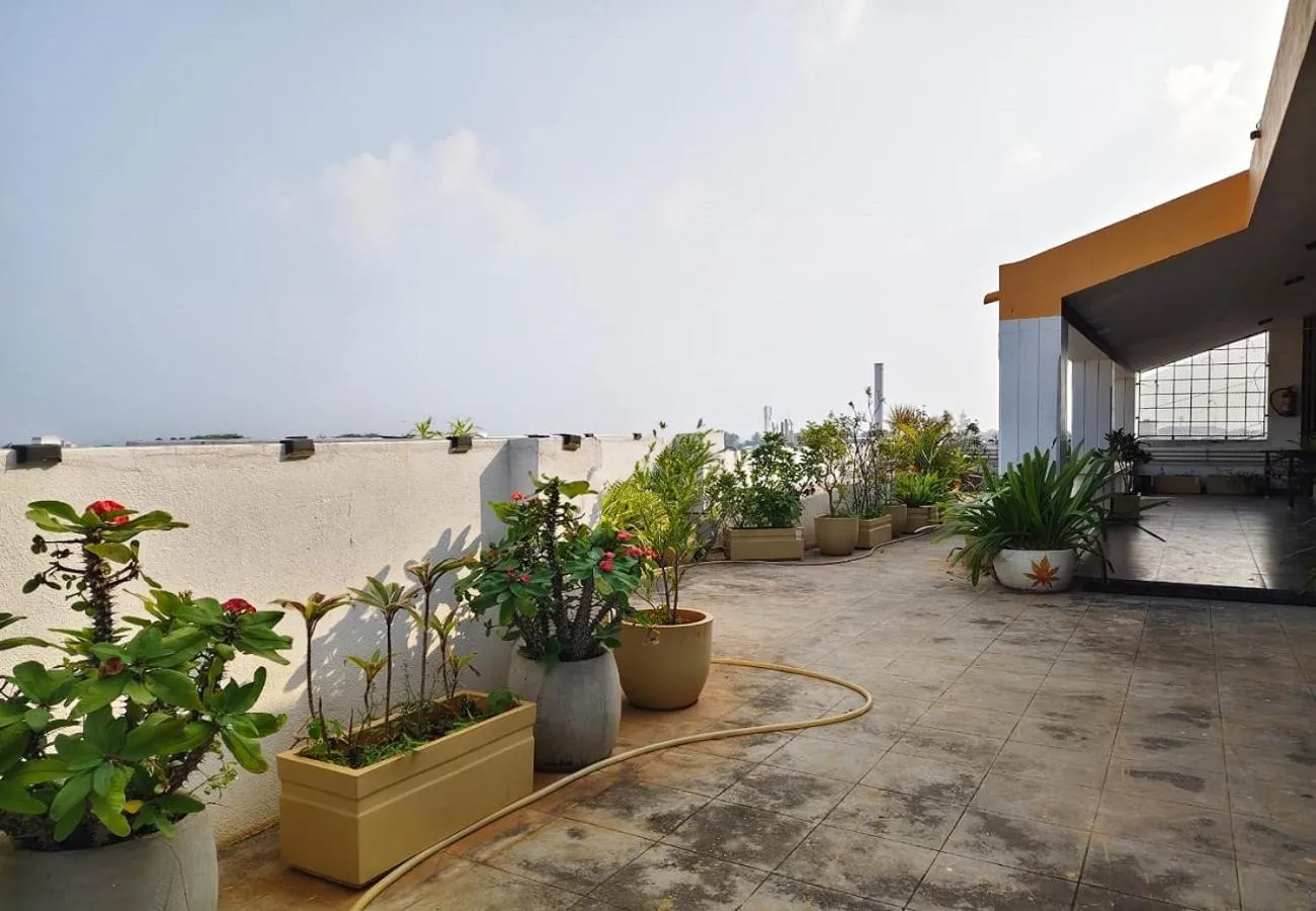 Garden in The French Villa Elite