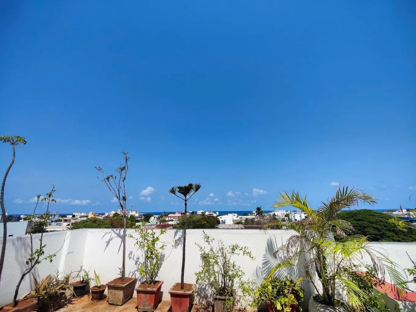 Natural landscape in The French Villa Elite