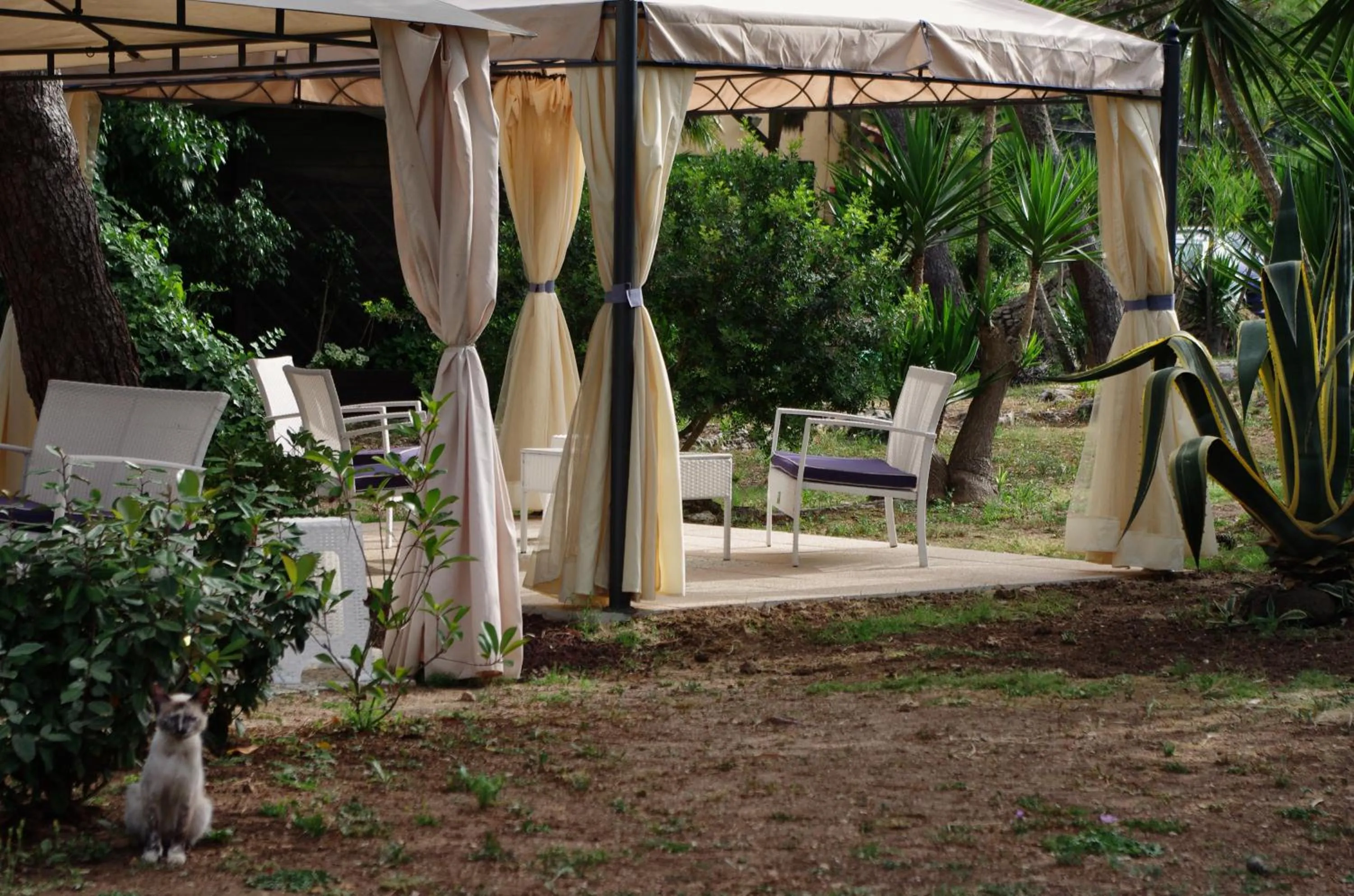 Sa Pedrera Country Hotel