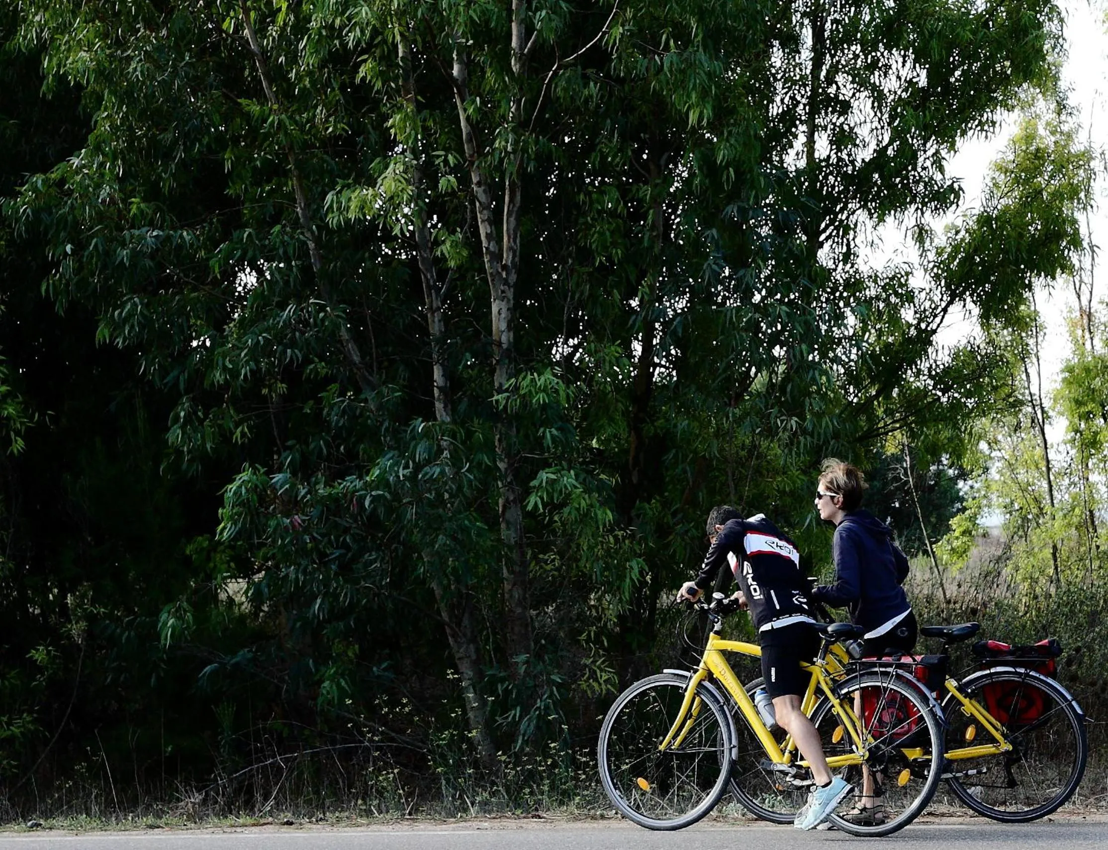Guests in Sa Pedrera Country Hotel