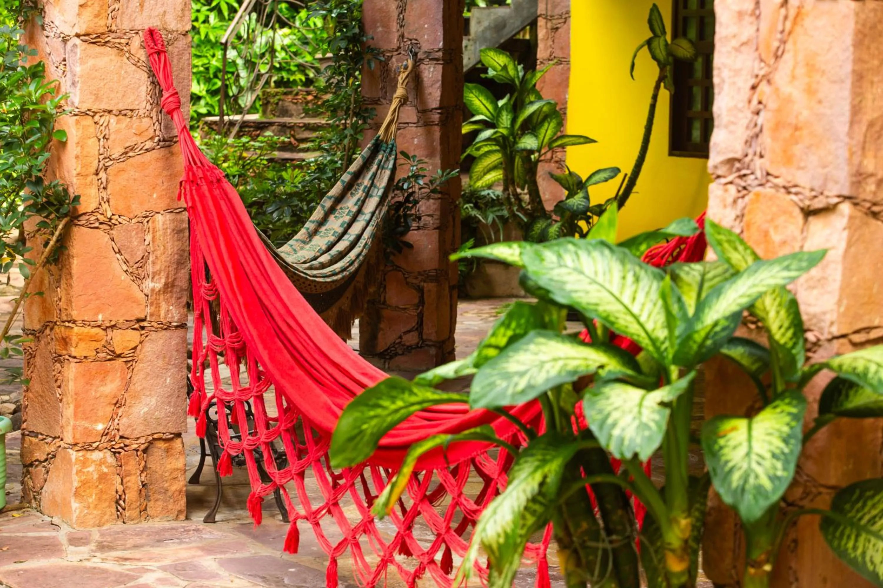 Natural landscape in Pousada Canto No Bosque