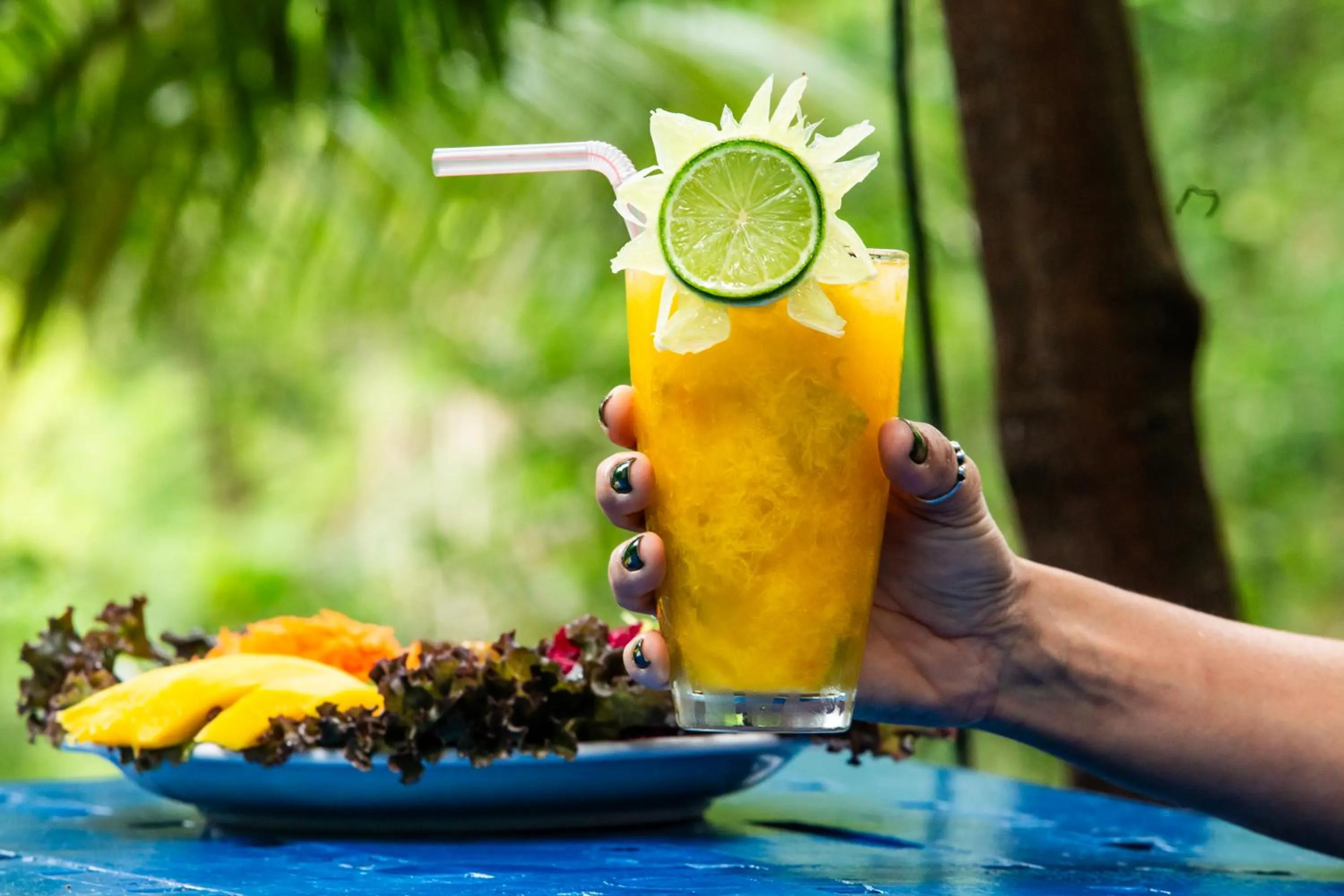 Food and drinks in Pousada Canto No Bosque