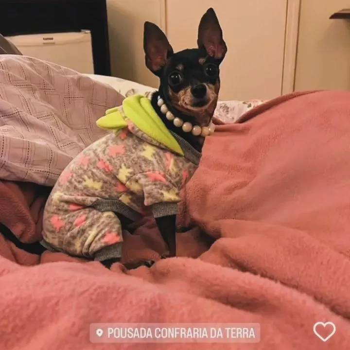 Pousada Confraria da Terra