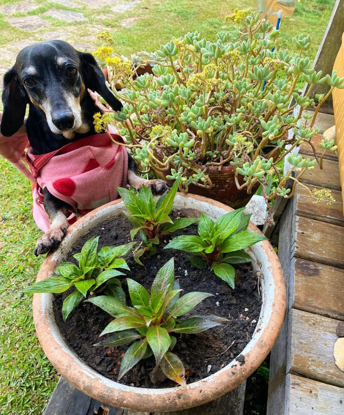 Pousada Confraria da Terra