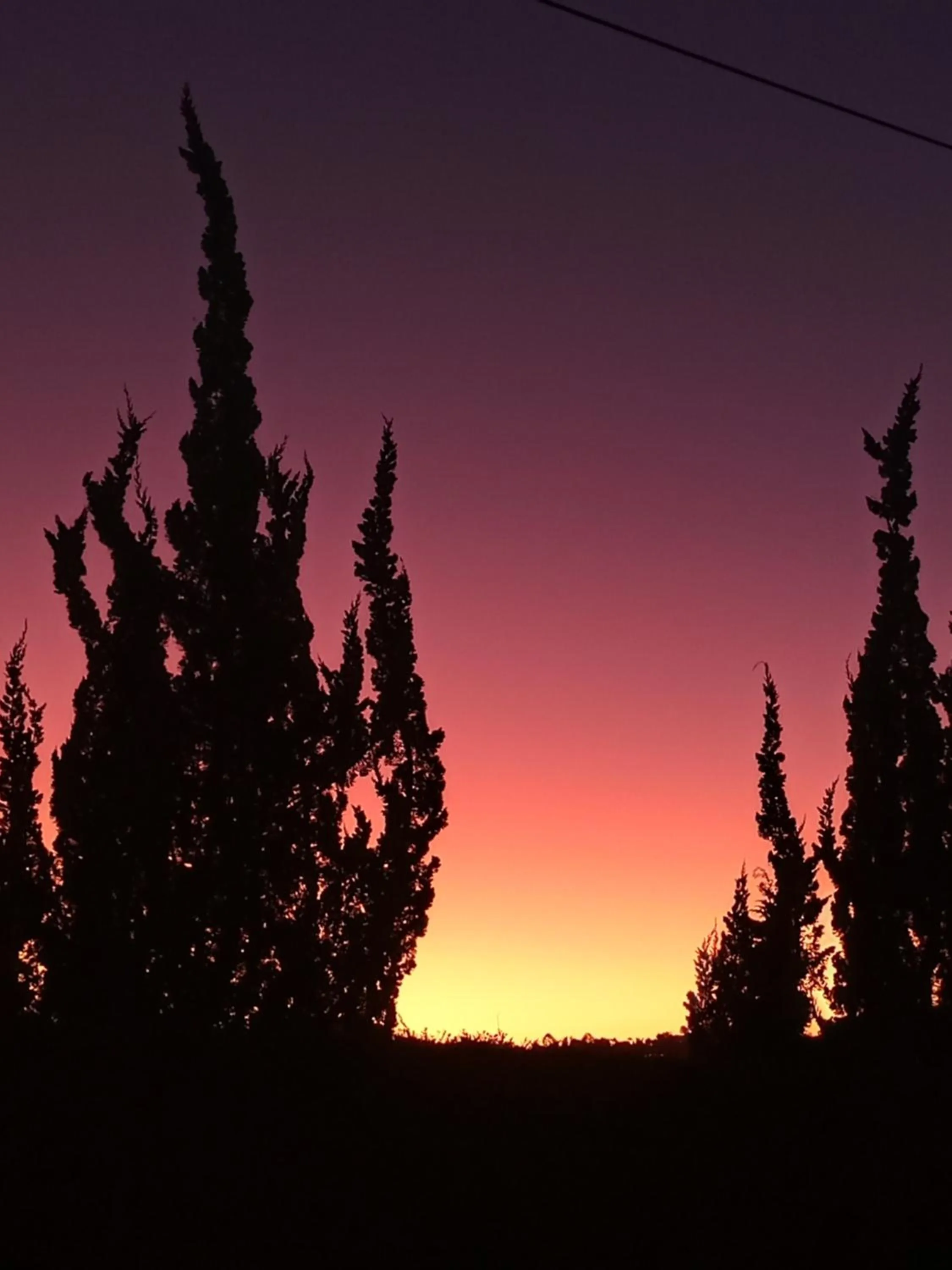 Pousada Confraria da Terra