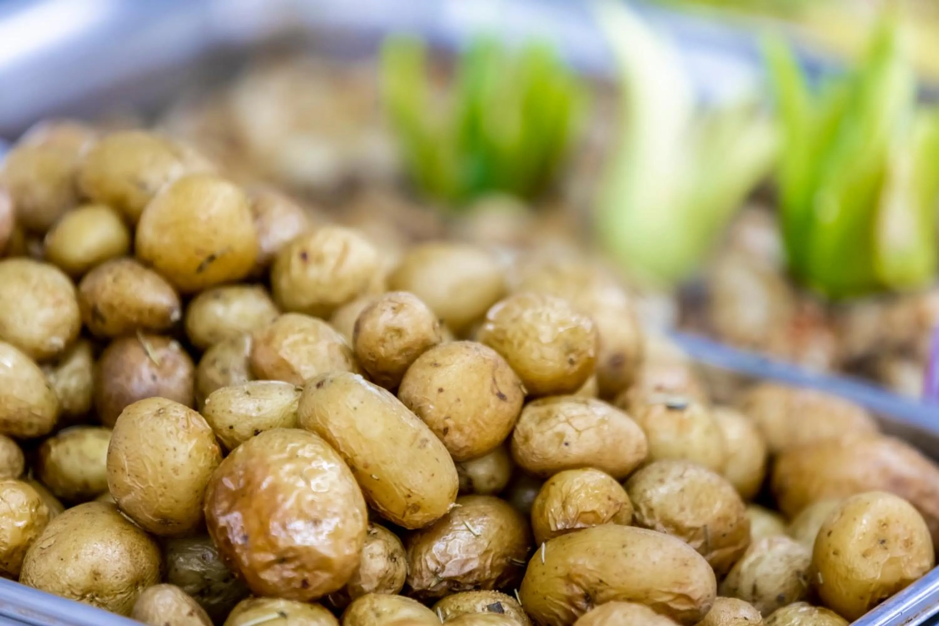 Food and drinks in Prestige Deluxe Hotel Aquapark Club - All inclusive