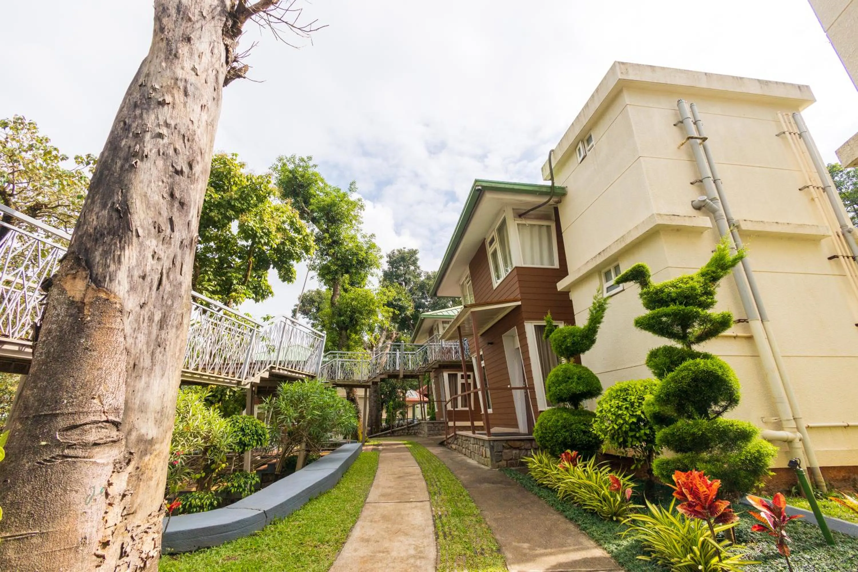 Garden in IBC Honeydew Exotica Resort