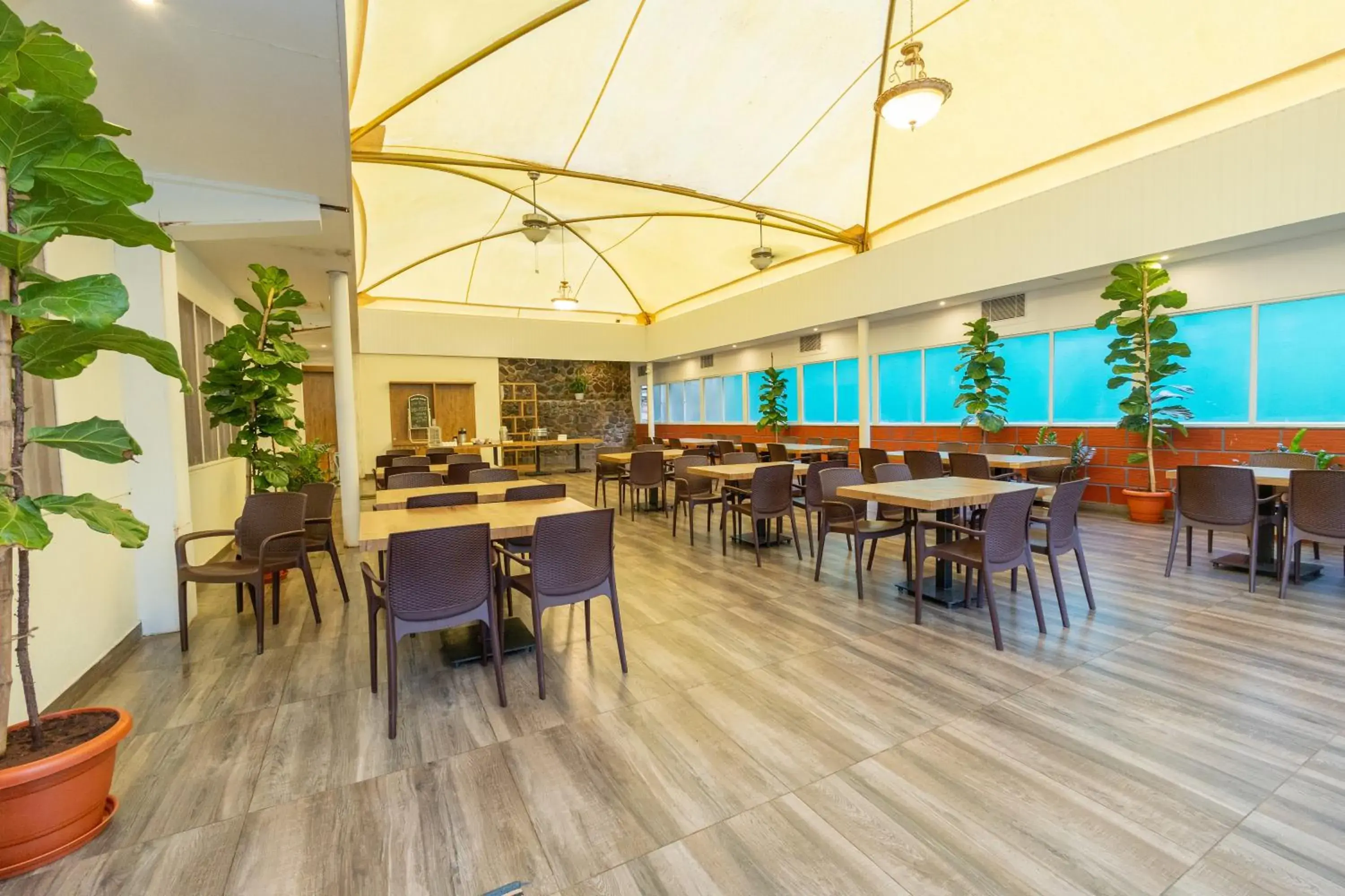 Restaurant/places to eat in IBC Honeydew Exotica Resort Restaurant/places to eat in IBC Honeydew Exotica Resort