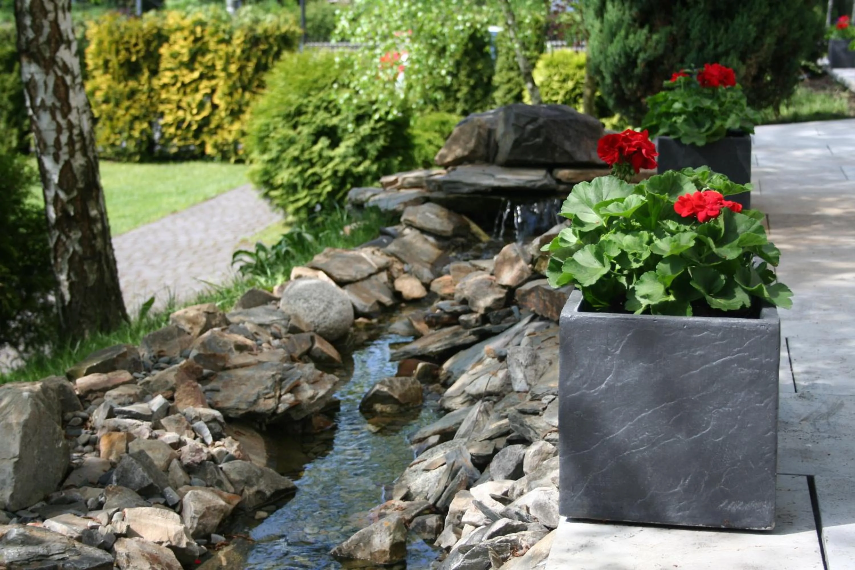 Garden in Hotel Focus