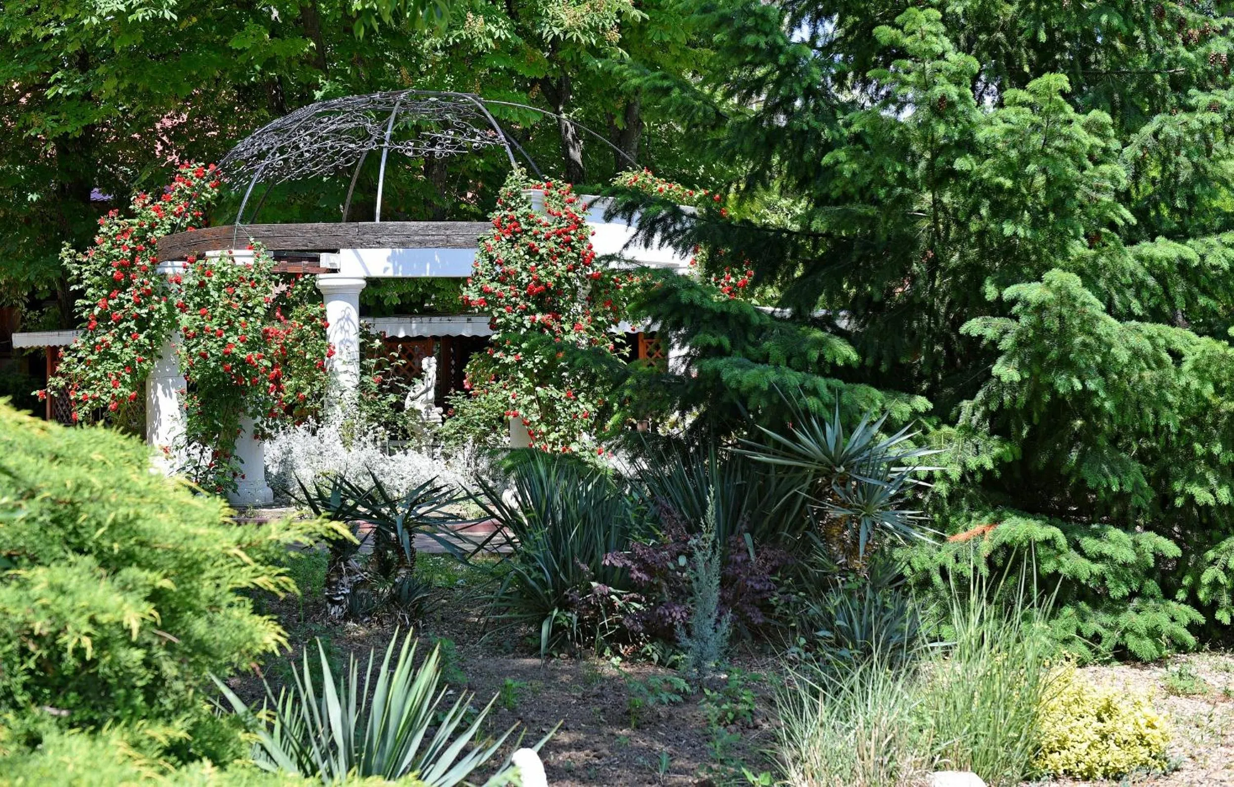 Garden in Hotel Estreya Palace