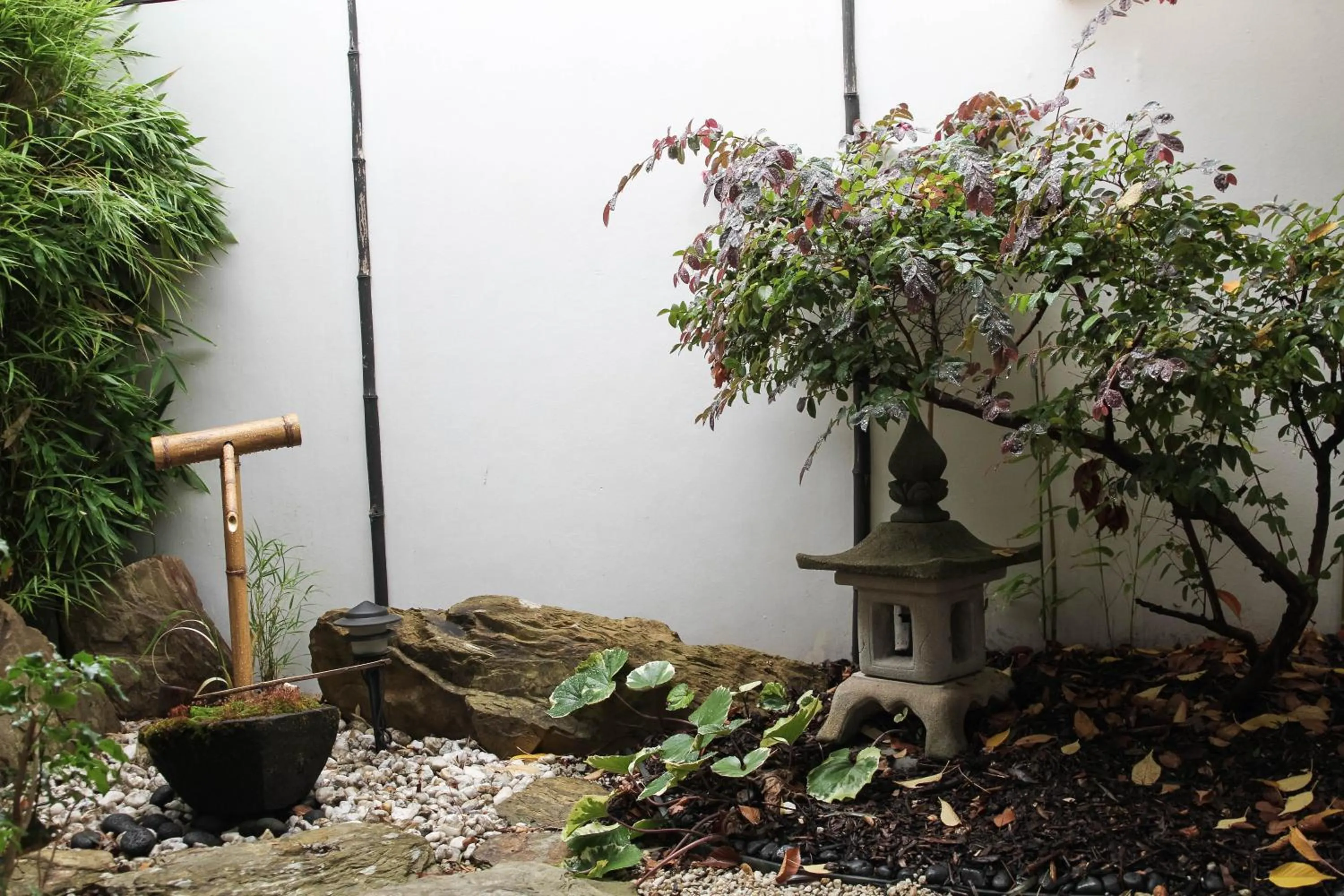 Garden view in Shizuka Ryokan Japanese Country Spa & Wellness Retreat