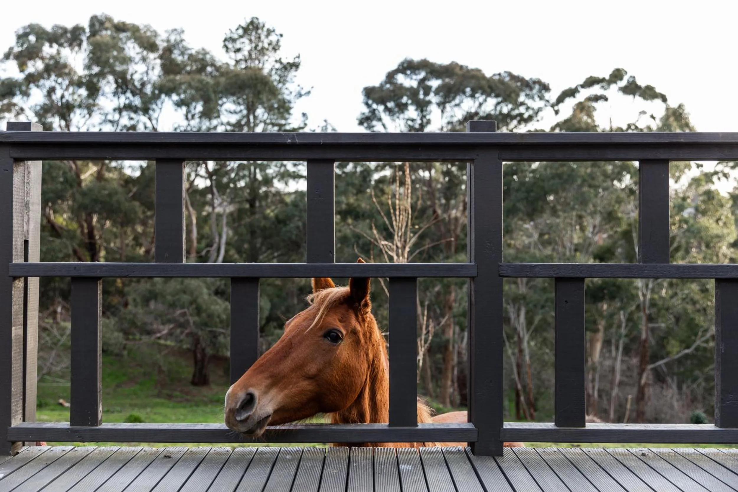 Balcony/Terrace in Shizuka Ryokan Japanese Country Spa & Wellness Retreat