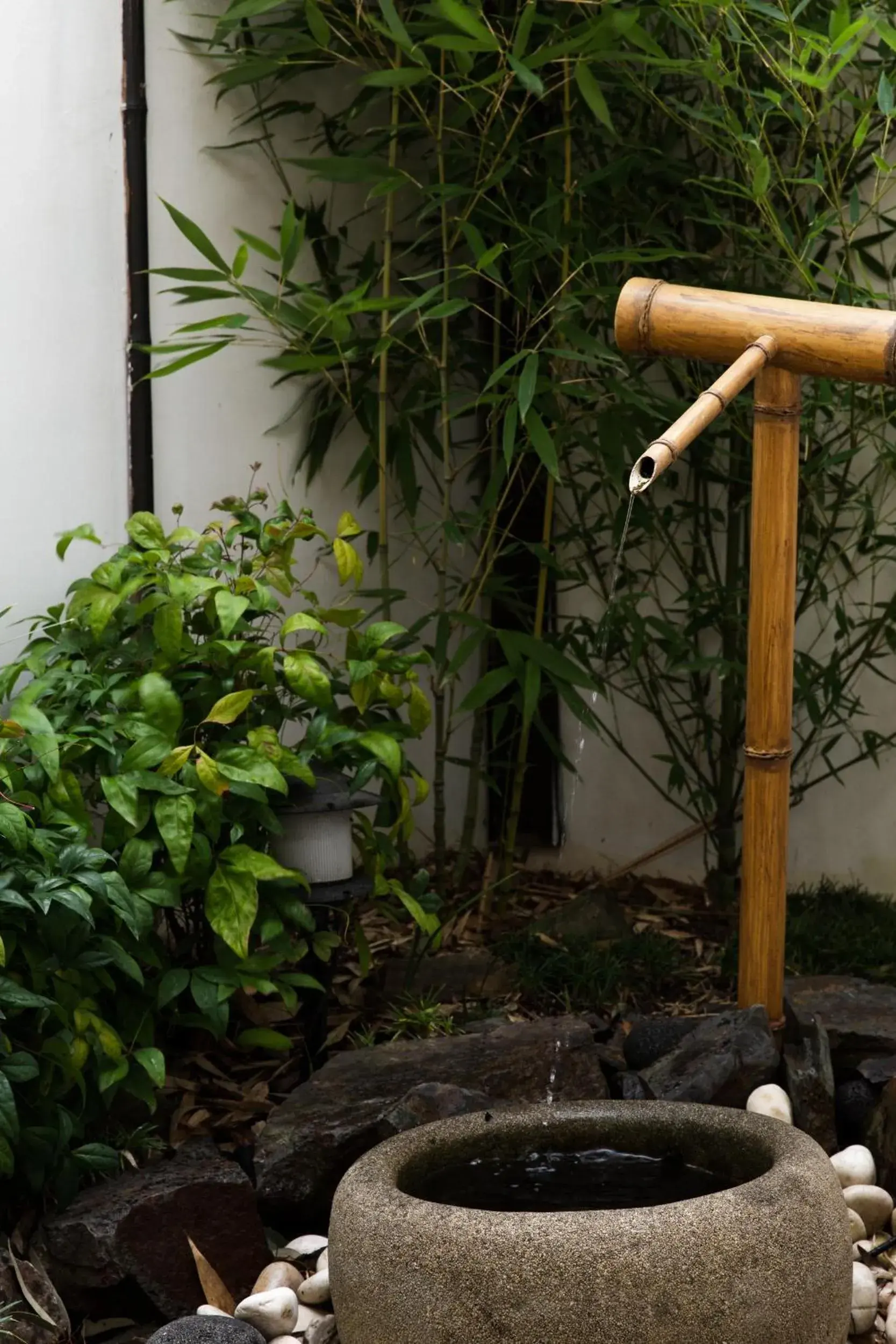 Garden view in Shizuka Ryokan Japanese Country Spa & Wellness Retreat Garden view in Shizuka Ryokan Japanese Country Spa & Wellness Retreat