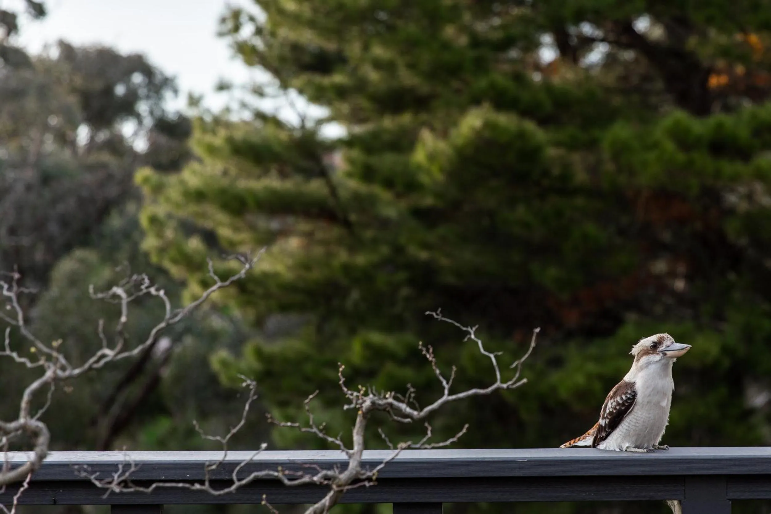 Balcony/Terrace in Shizuka Ryokan Japanese Country Spa & Wellness Retreat