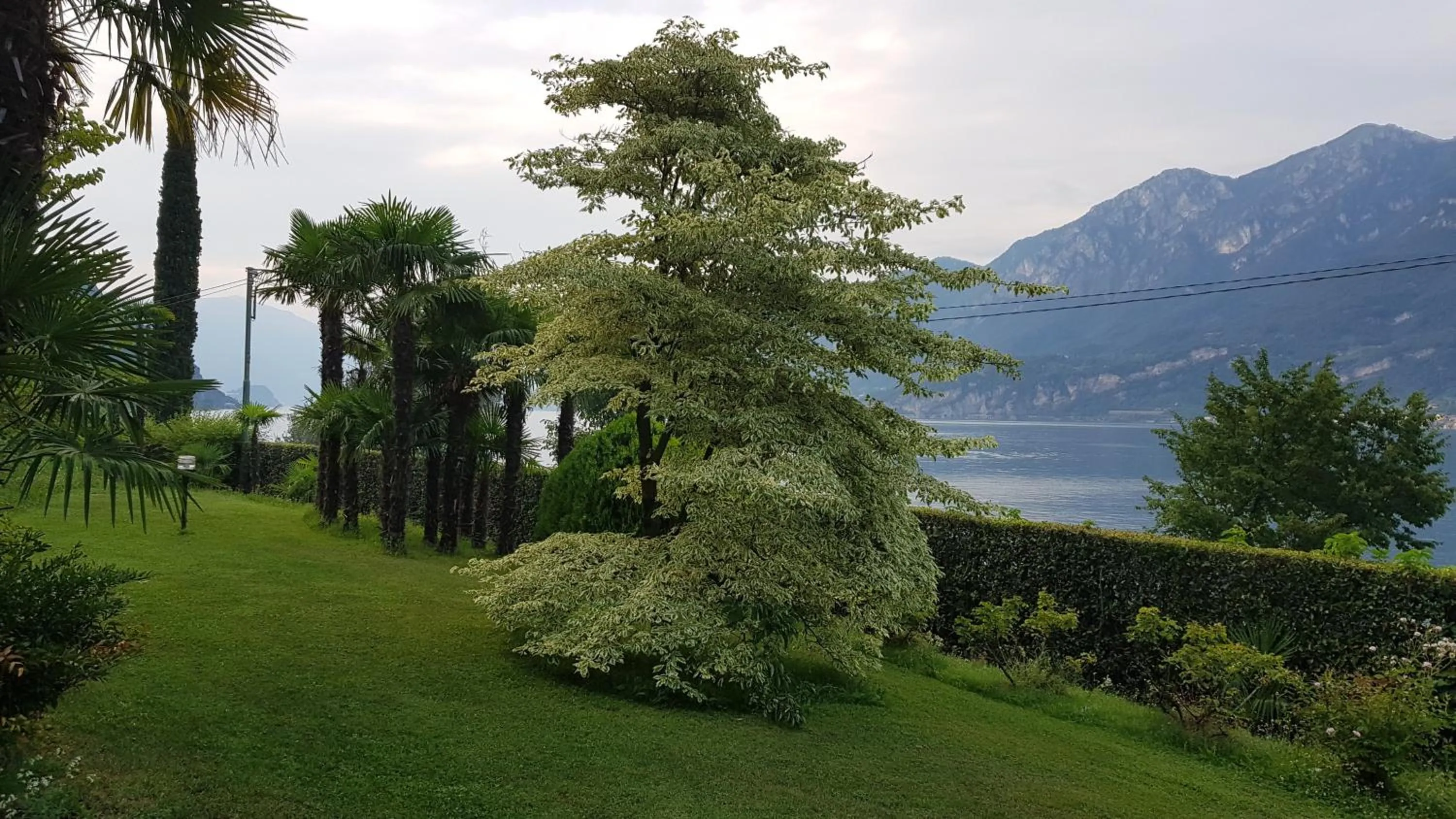 Garden in Villa Ucci