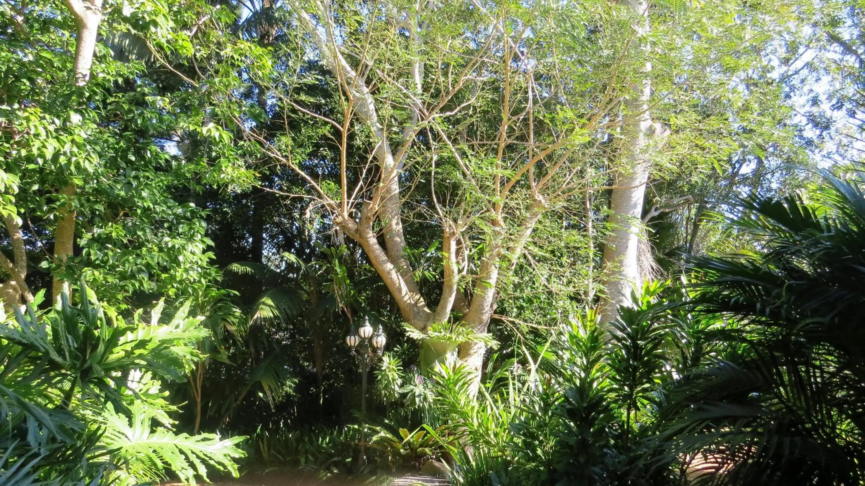 Garden in Victoria's At Ewingsdale