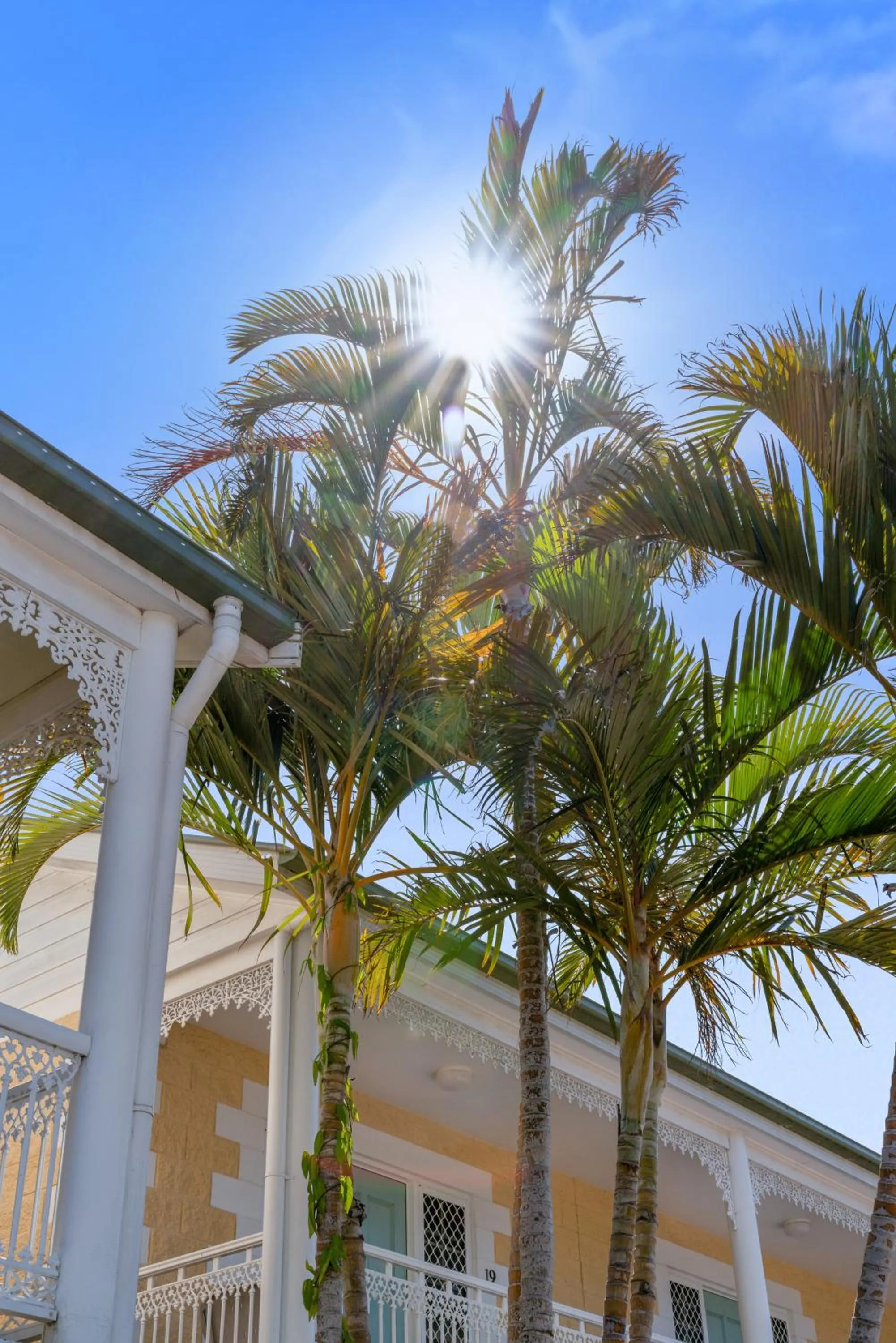 Property building in Wollongbar Motel