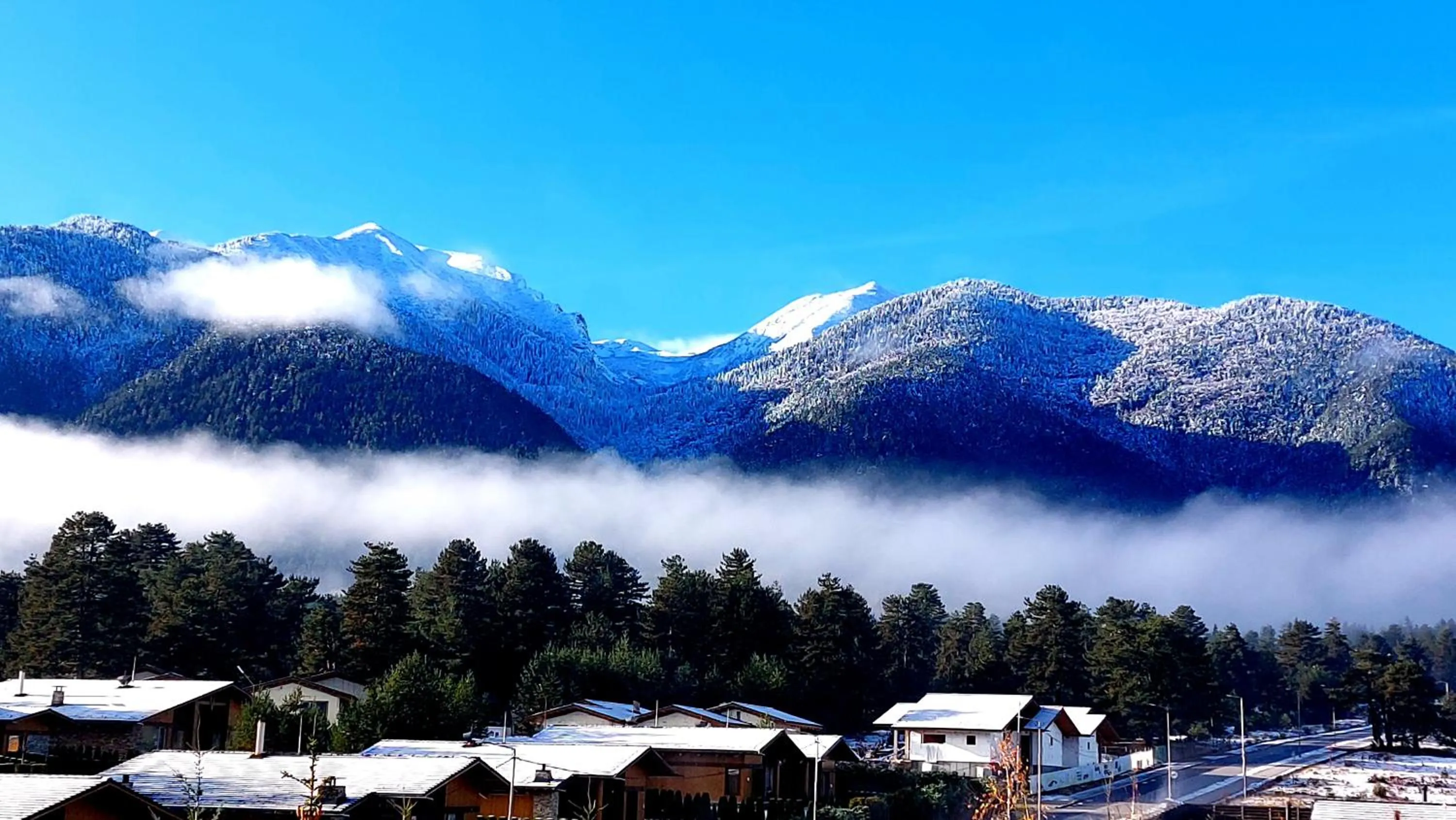 View (from property/room) in Local Stay Hotel, BW Signature Collection