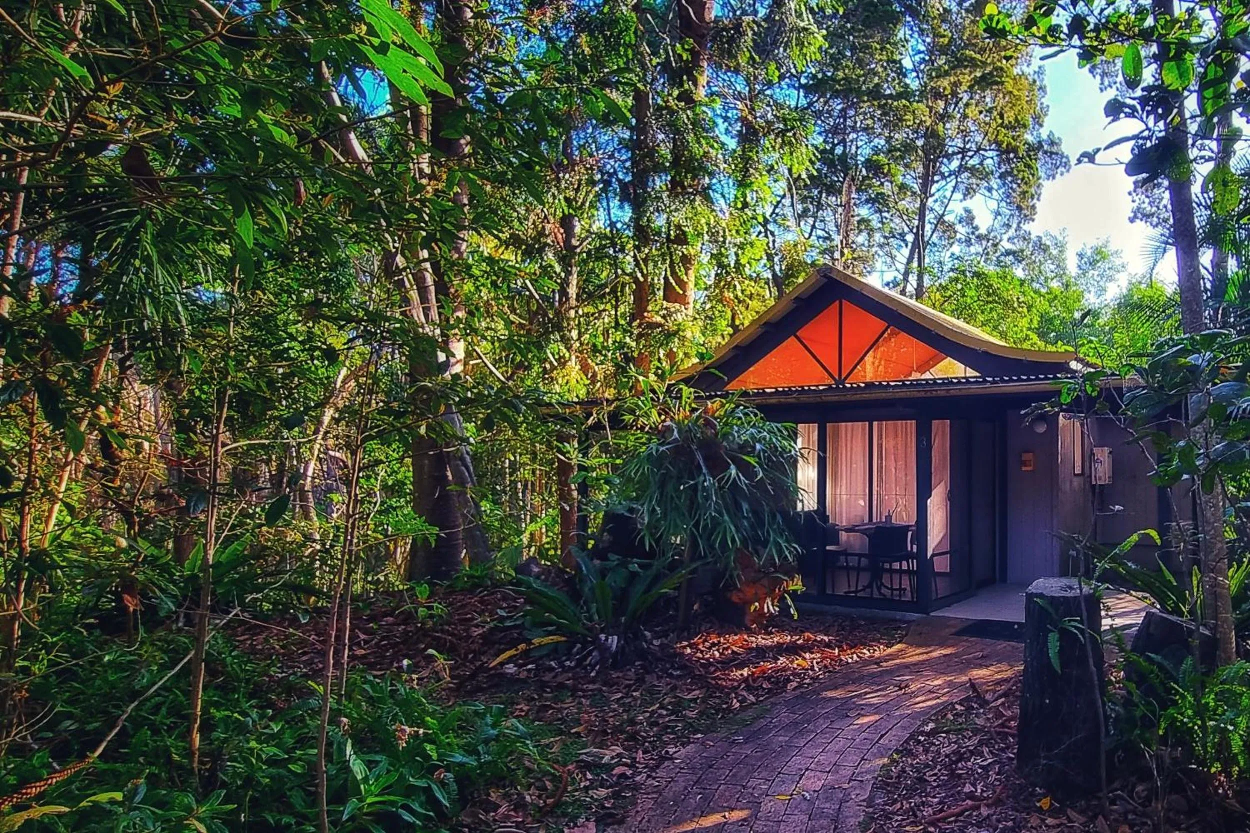 Natural landscape in Byron Bay Rainforest Resort