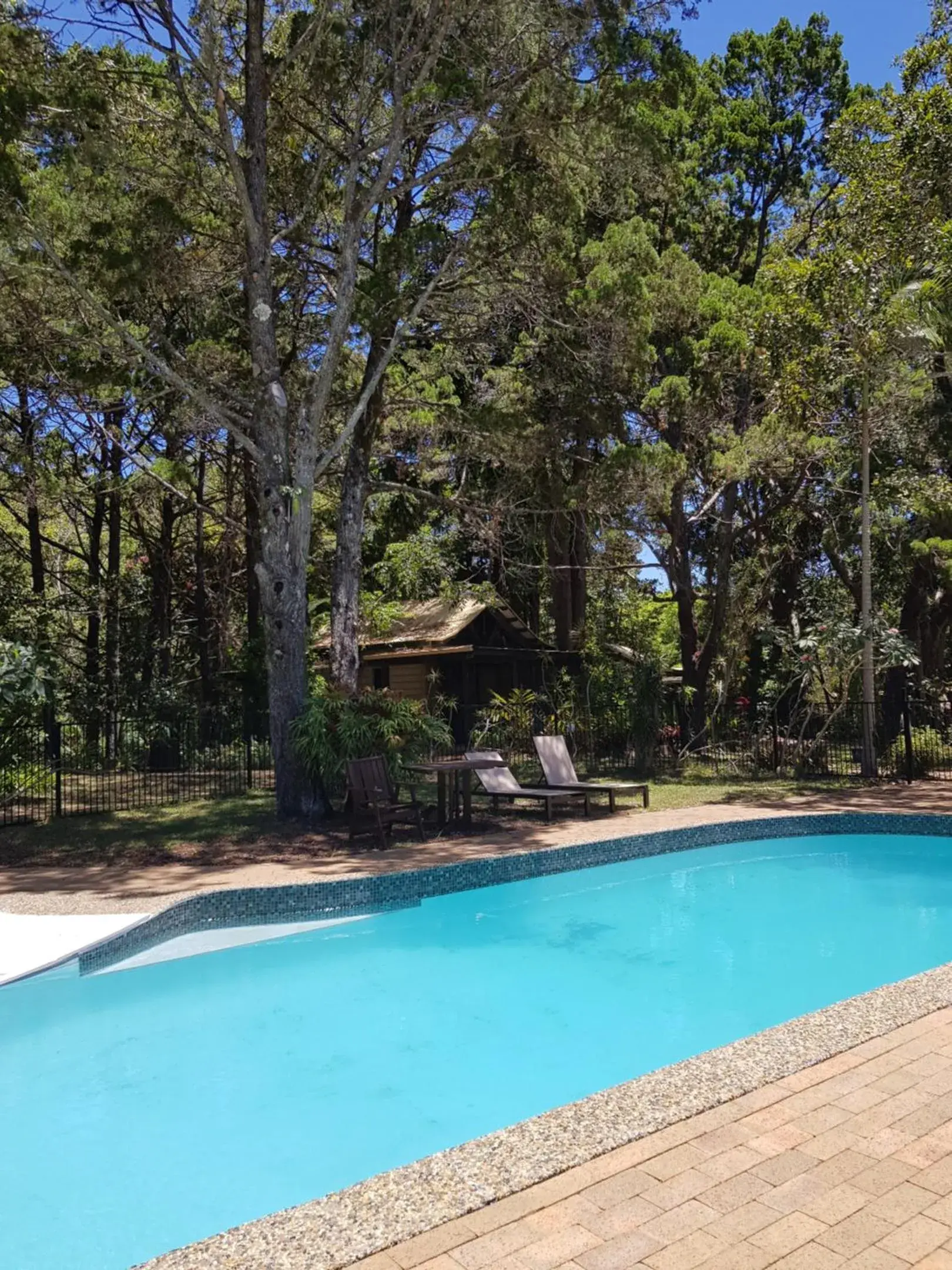 Garden, Swimming Pool in Byron Bay Rainforest Resort