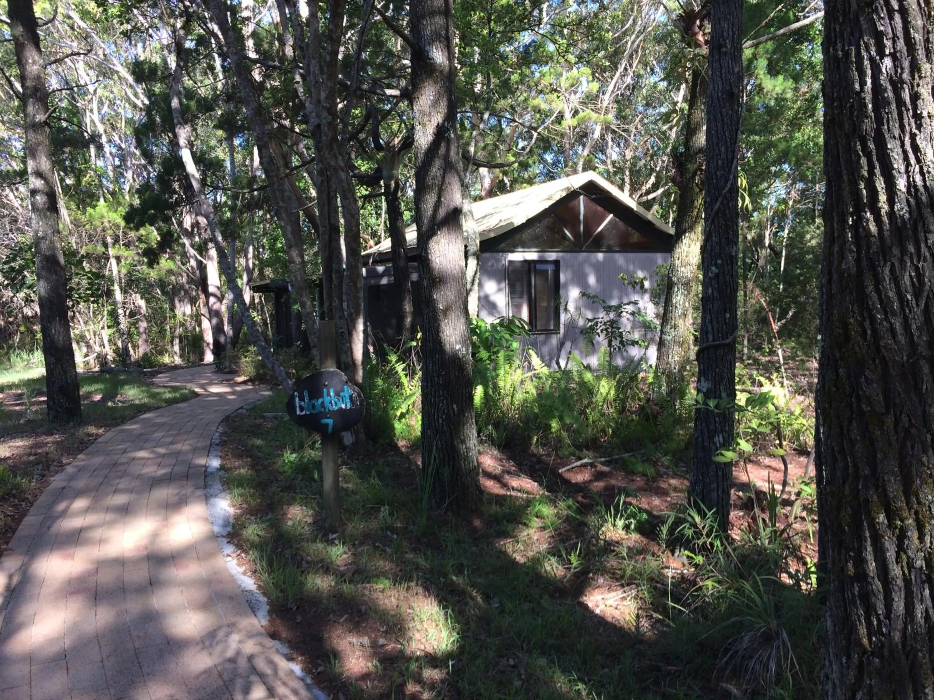 Property building in Byron Bay Rainforest Resort