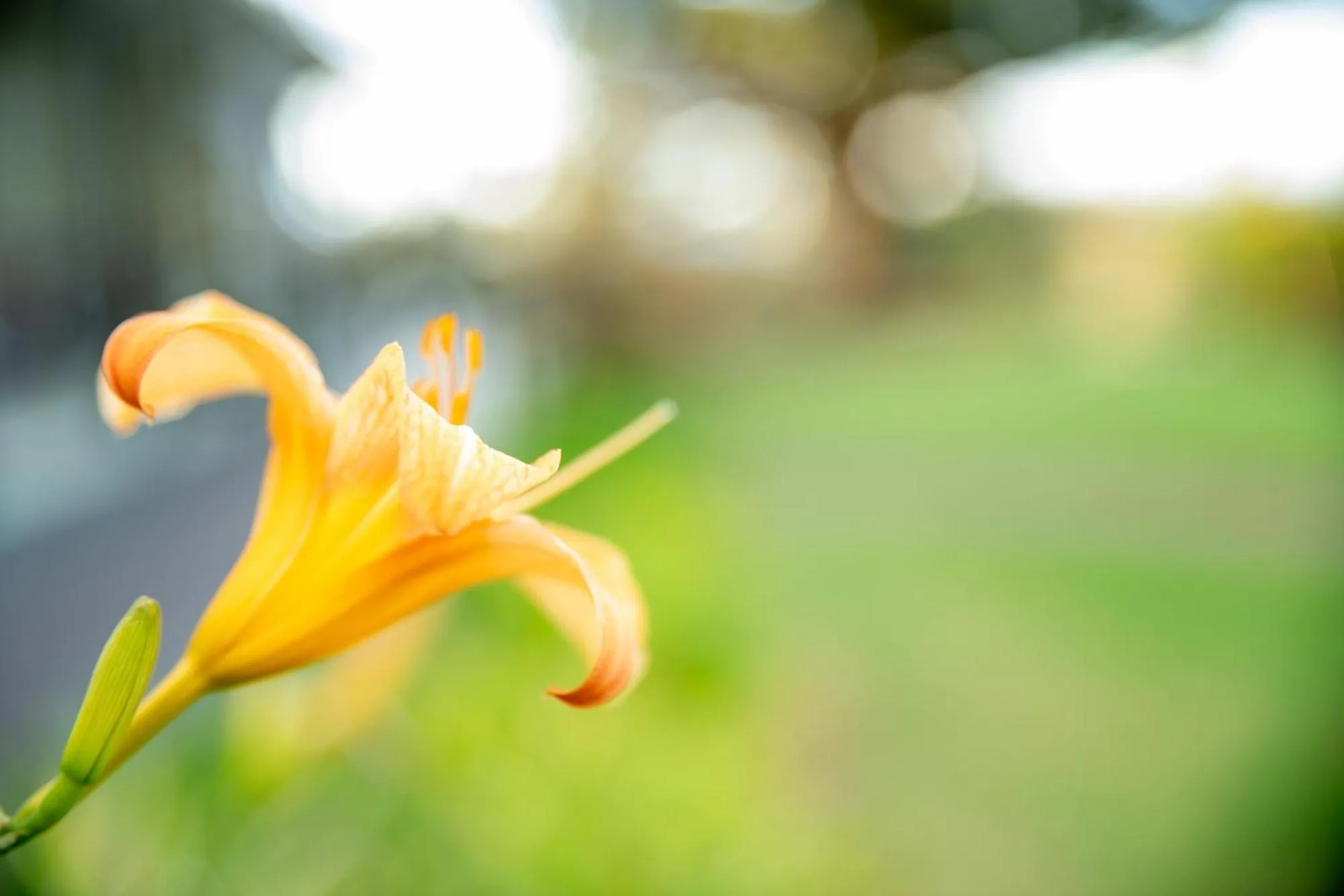 Cascade Garden Apartments